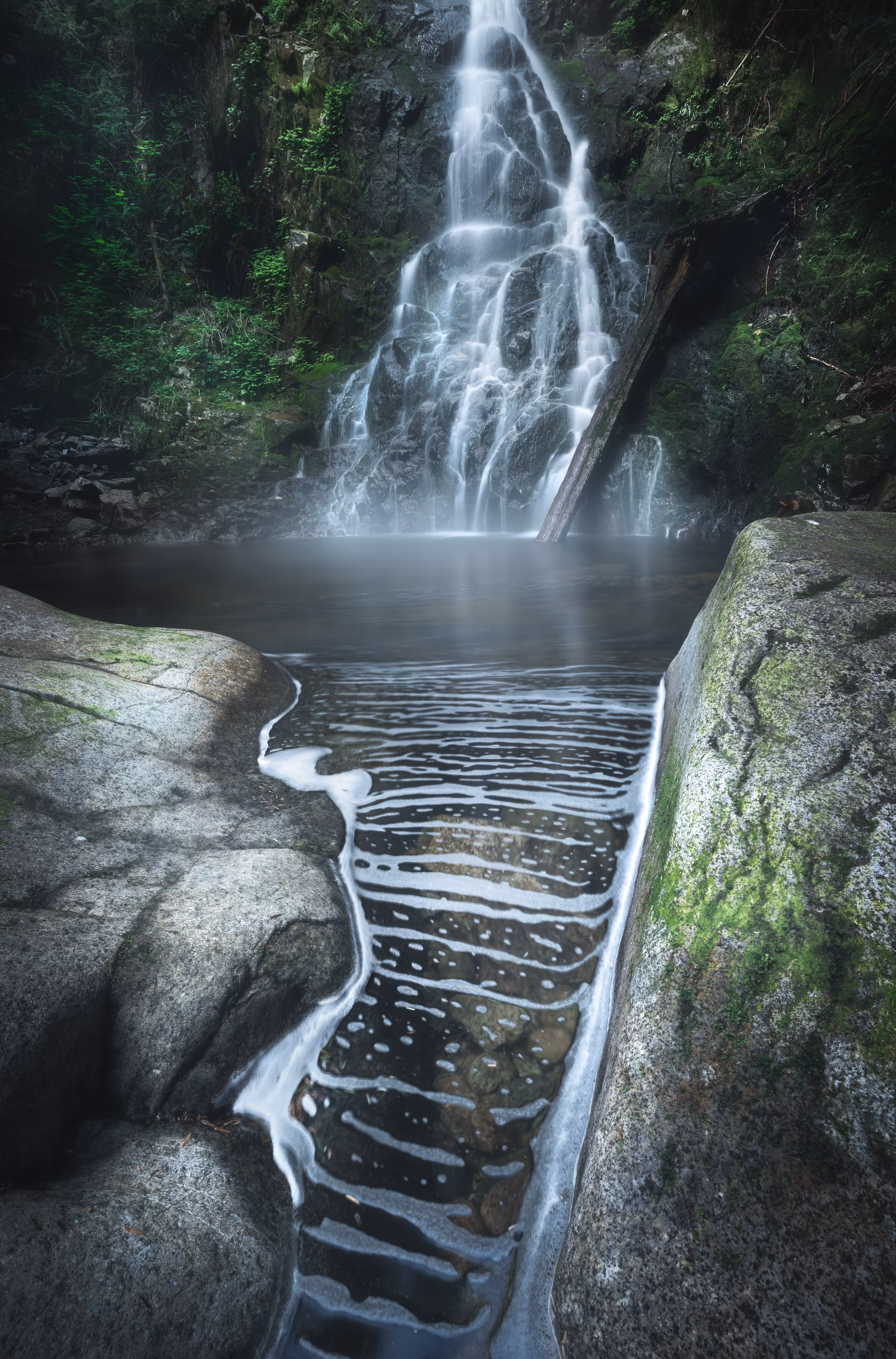 Home of Fairies