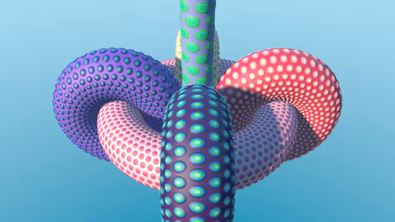 Torus experiment 2