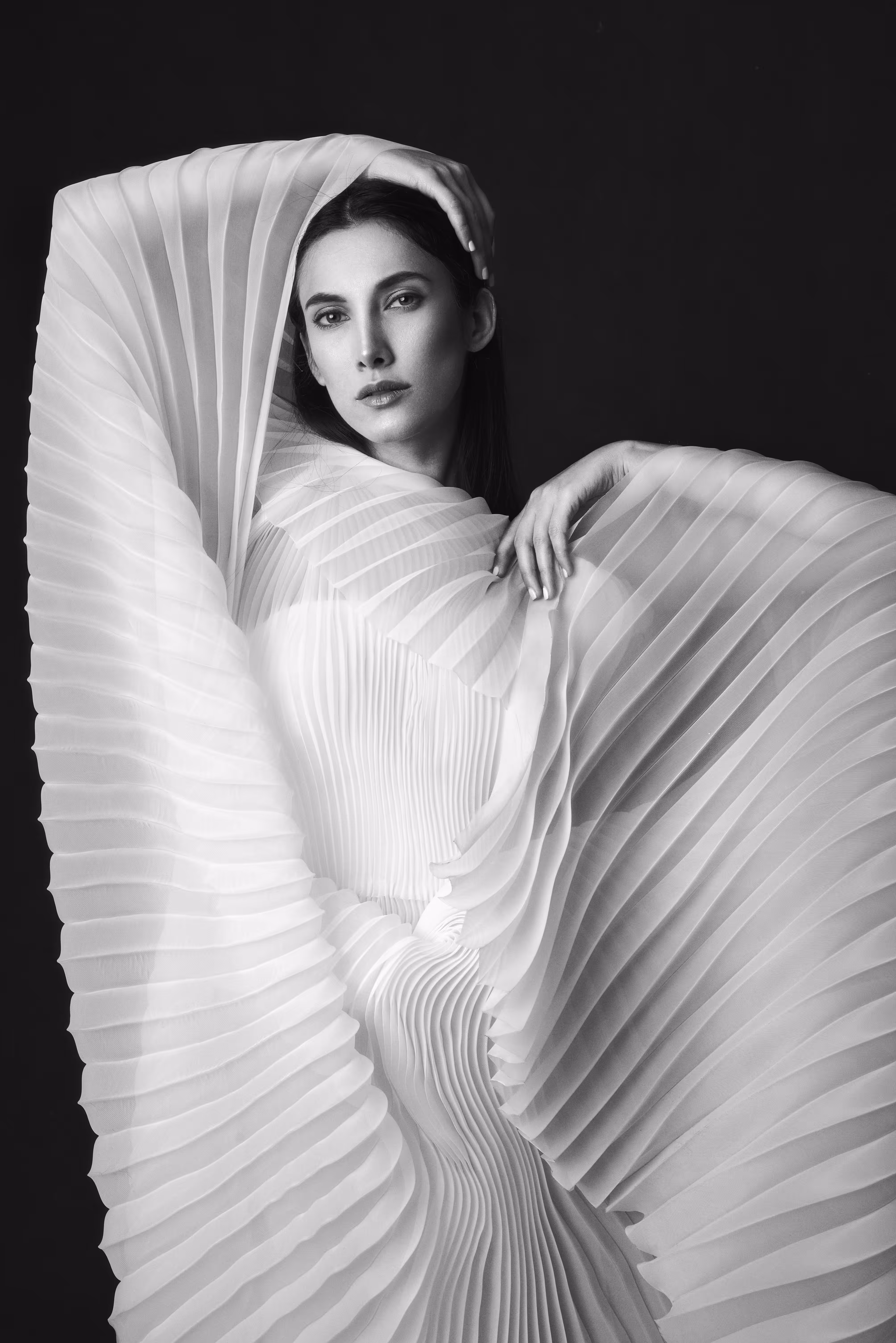 Swan Lake II
