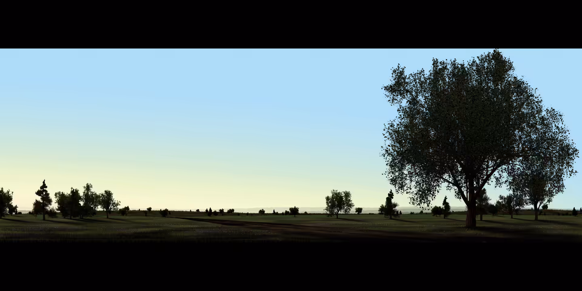 Mornings #25
