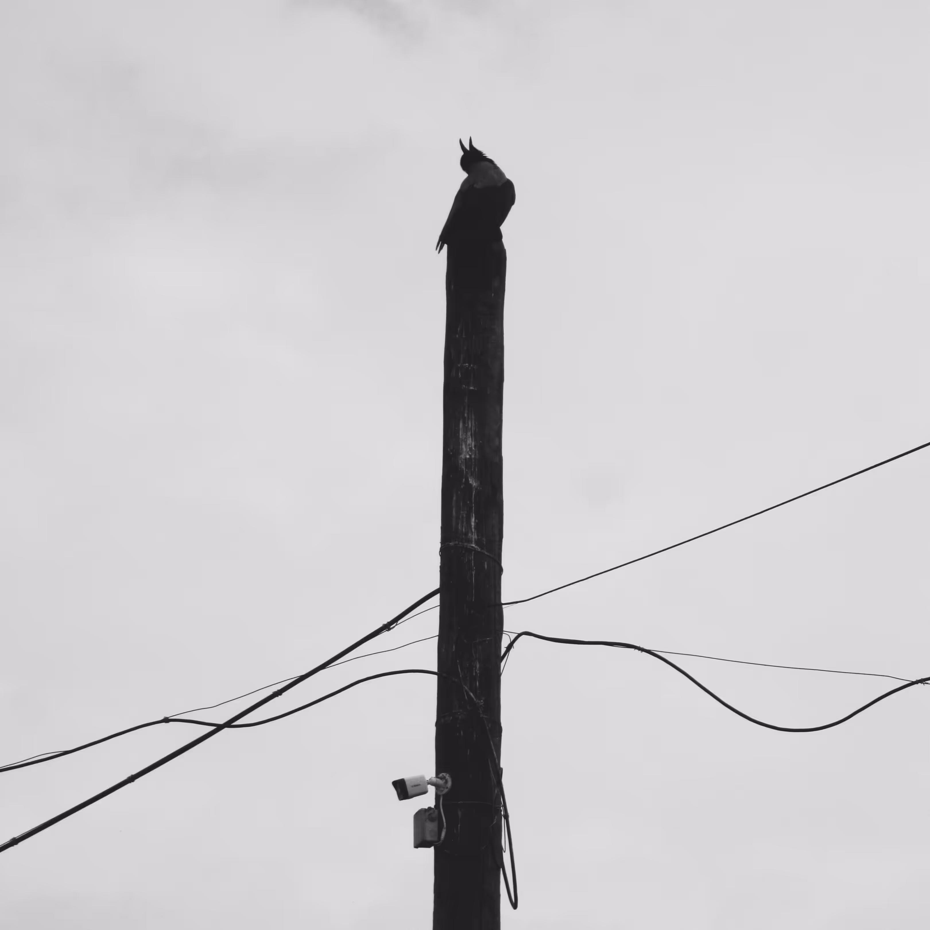 Photos: Untitled