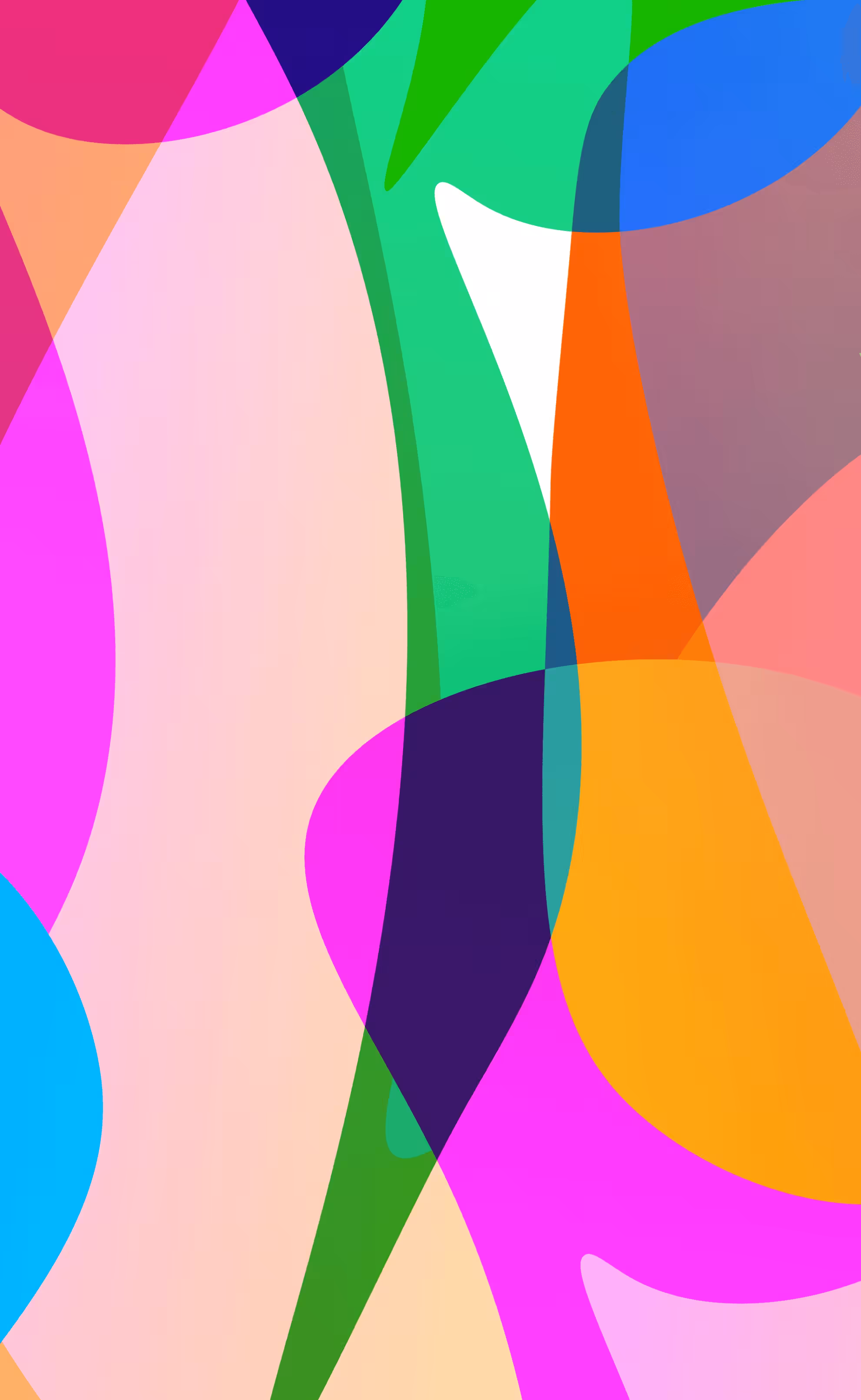 Tulip