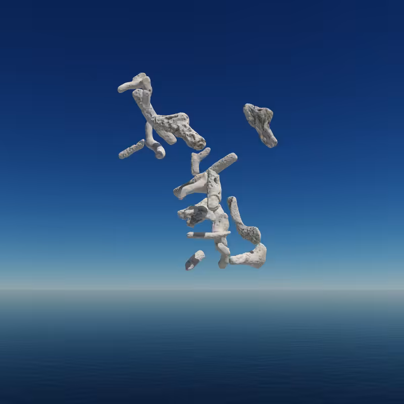 Bone Work (Gulf of Mexico) 2022 #82