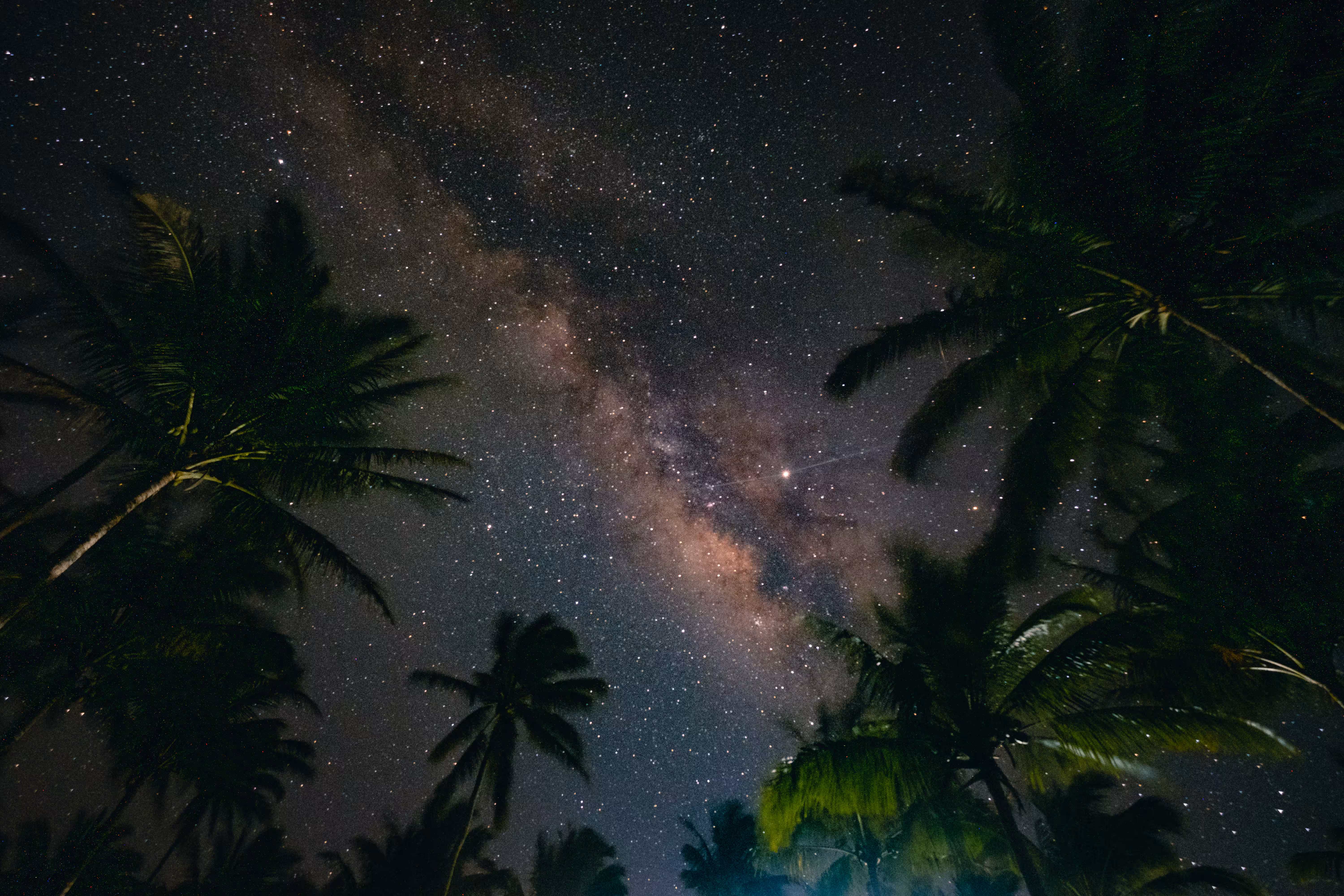 Dream