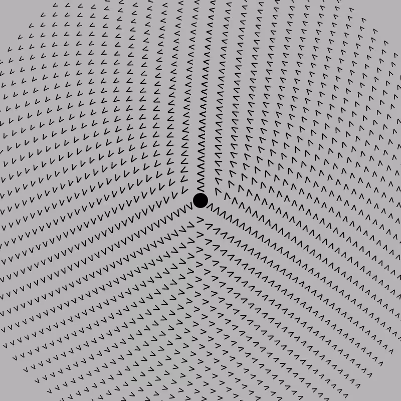 Dizzy Wheel #11