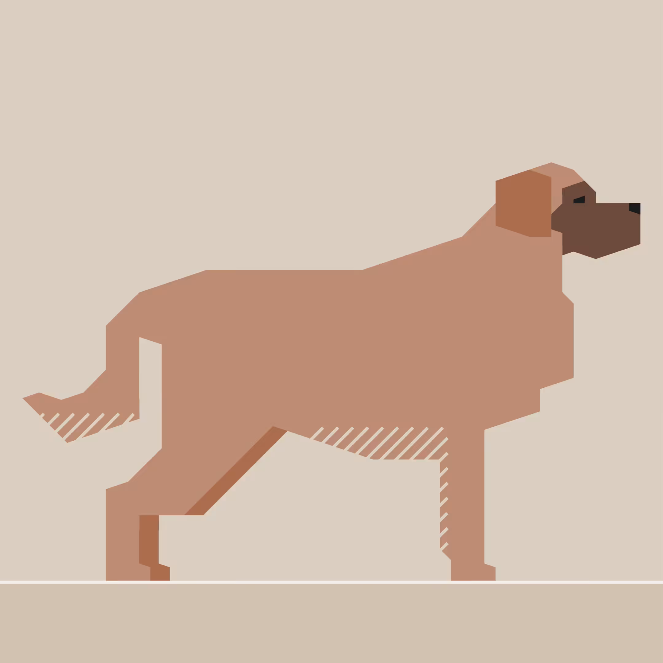 Leonberger