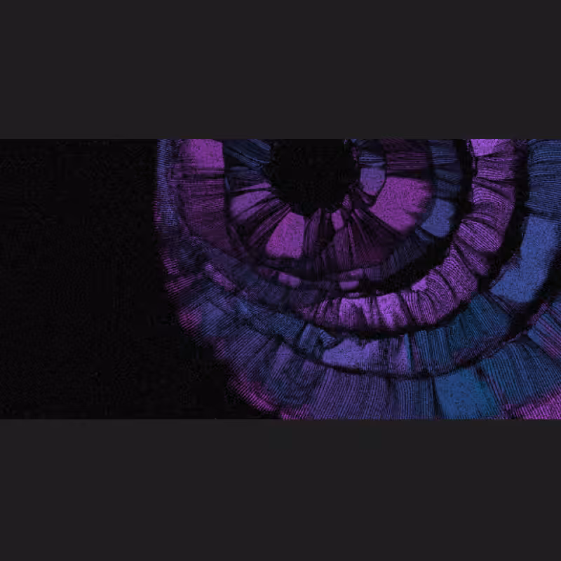 Chameleon #2