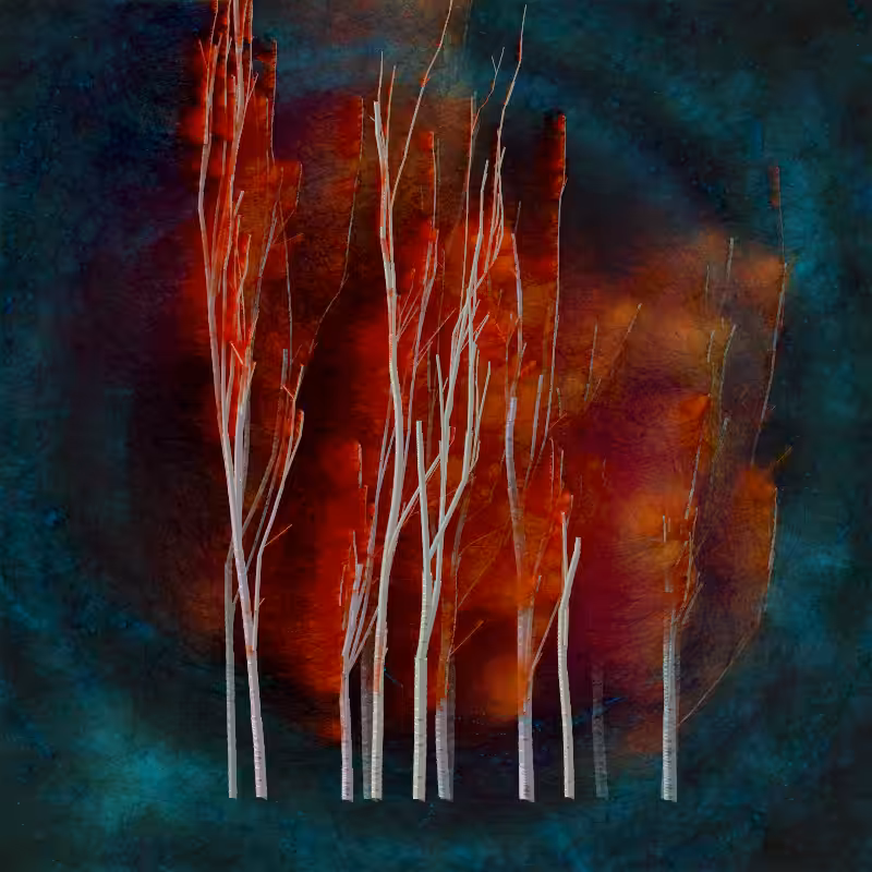 Grove #4