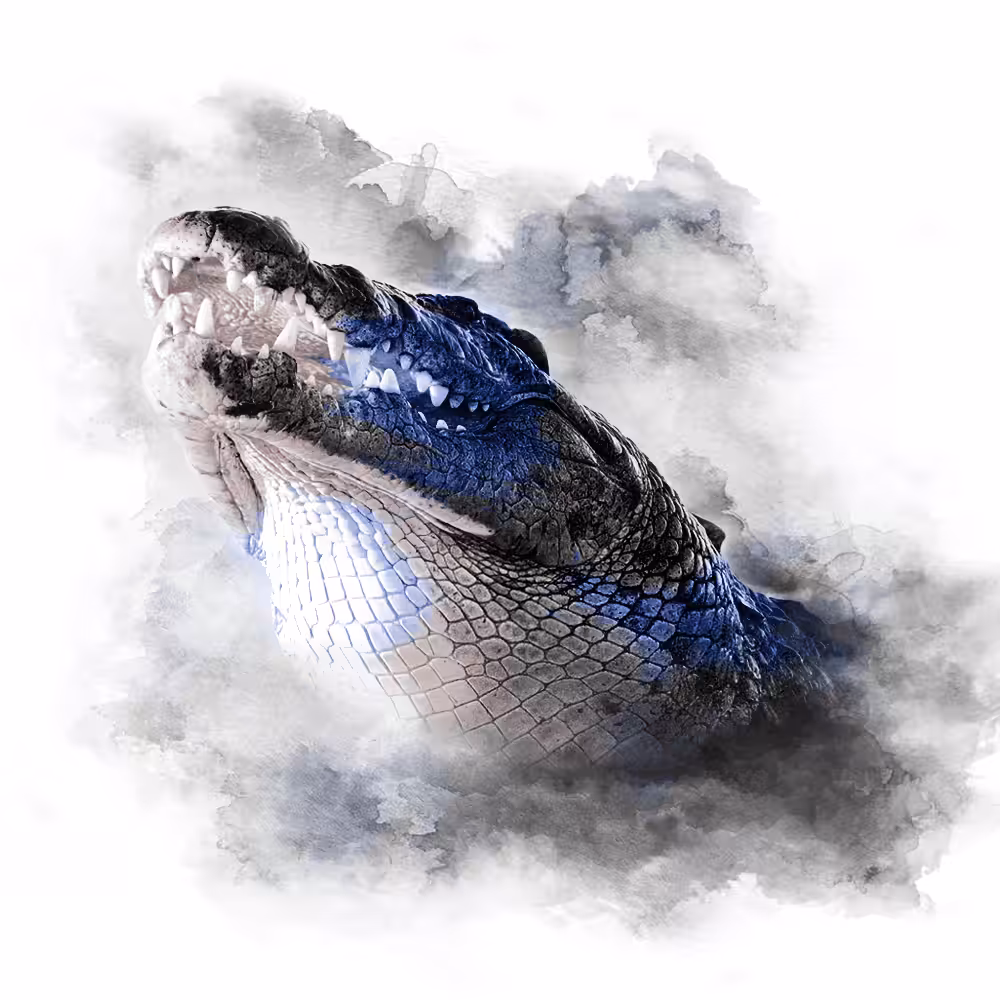 BLUE SERIES - CROCO
