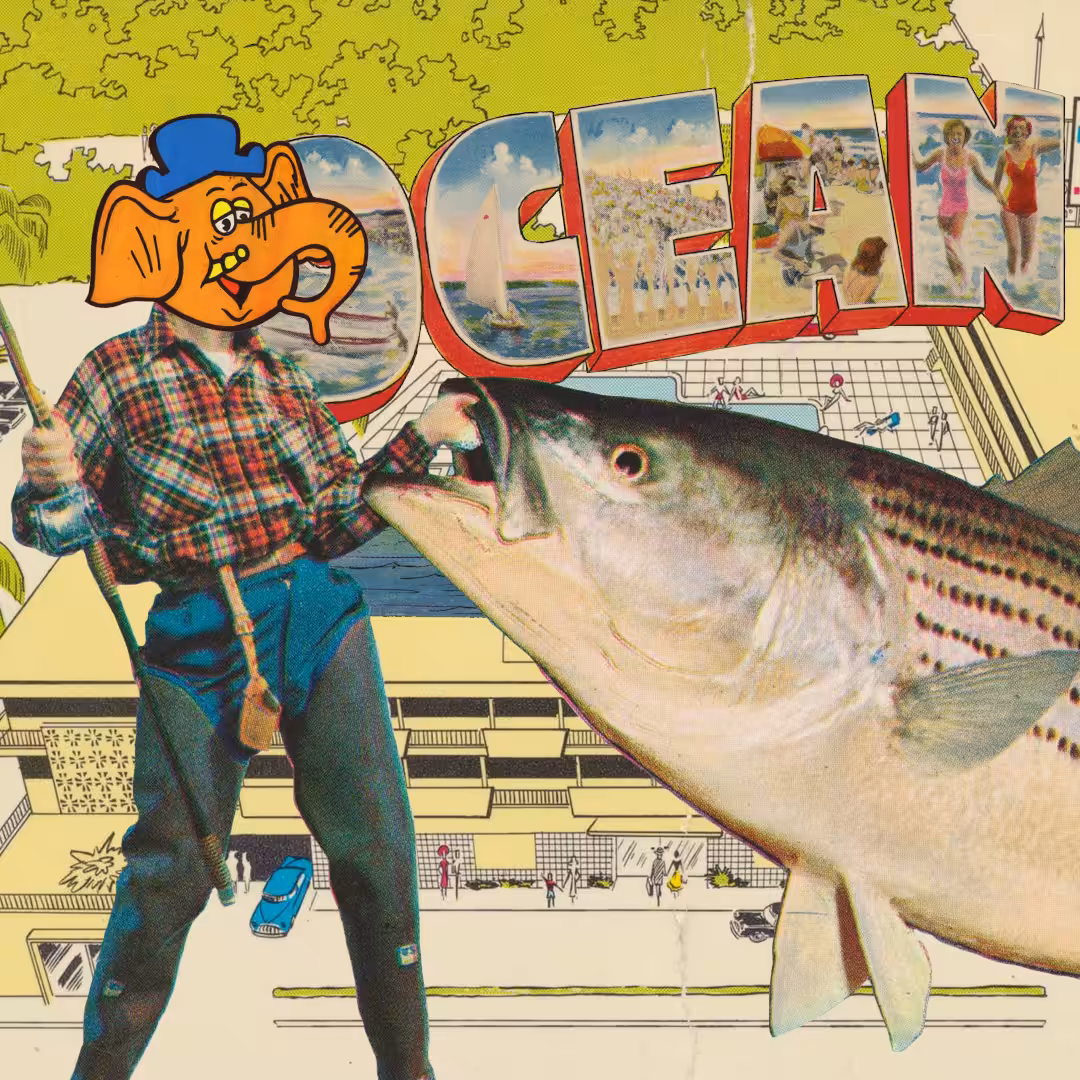 Collage Punk #5 - Catch