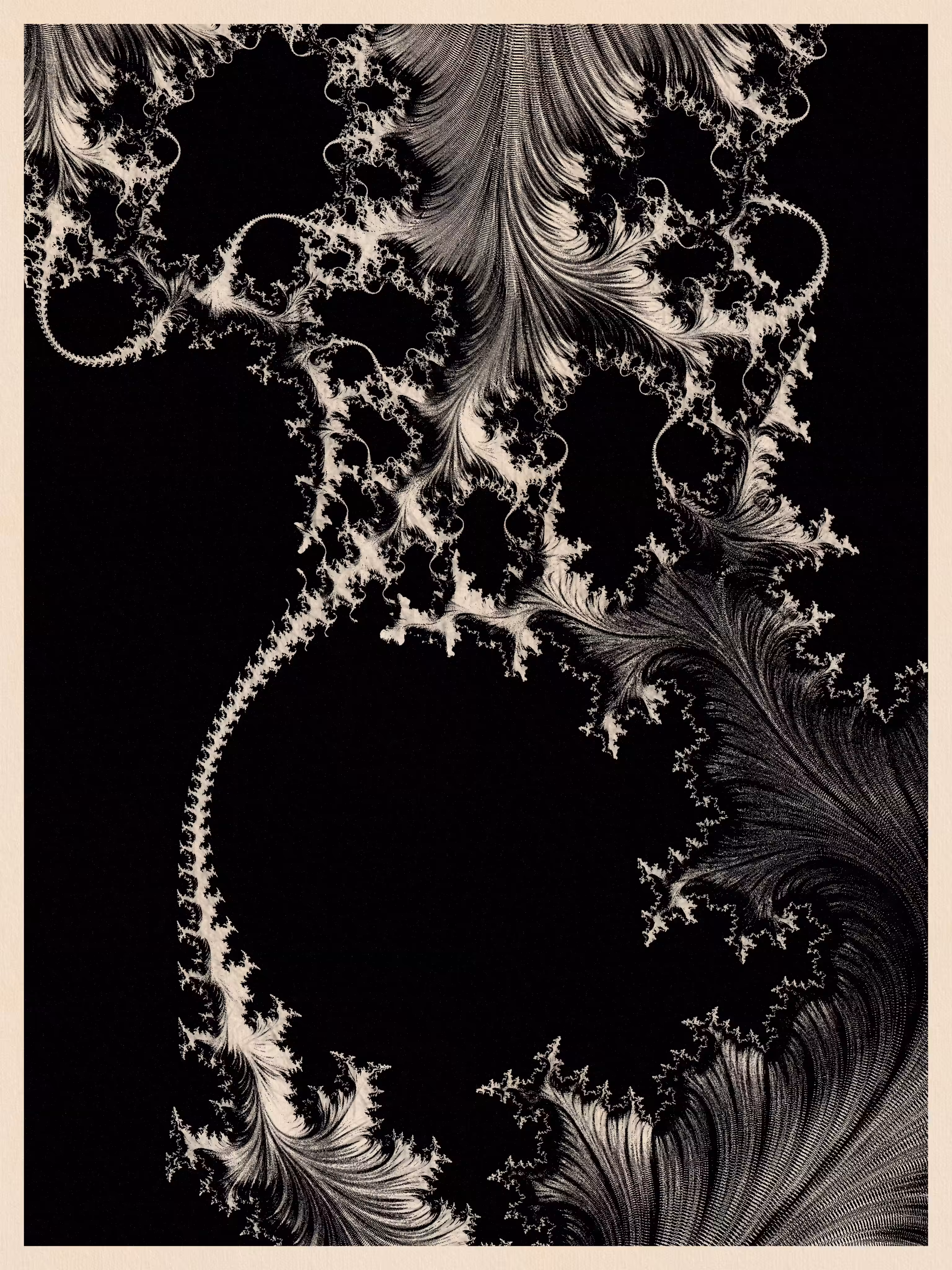 Plants Flowers - generative Art