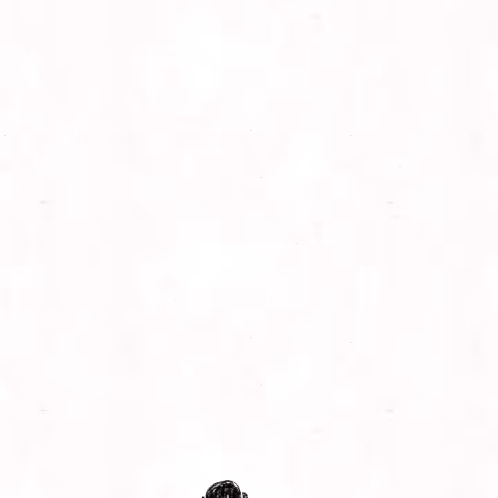 PEEKING SHADOW 2