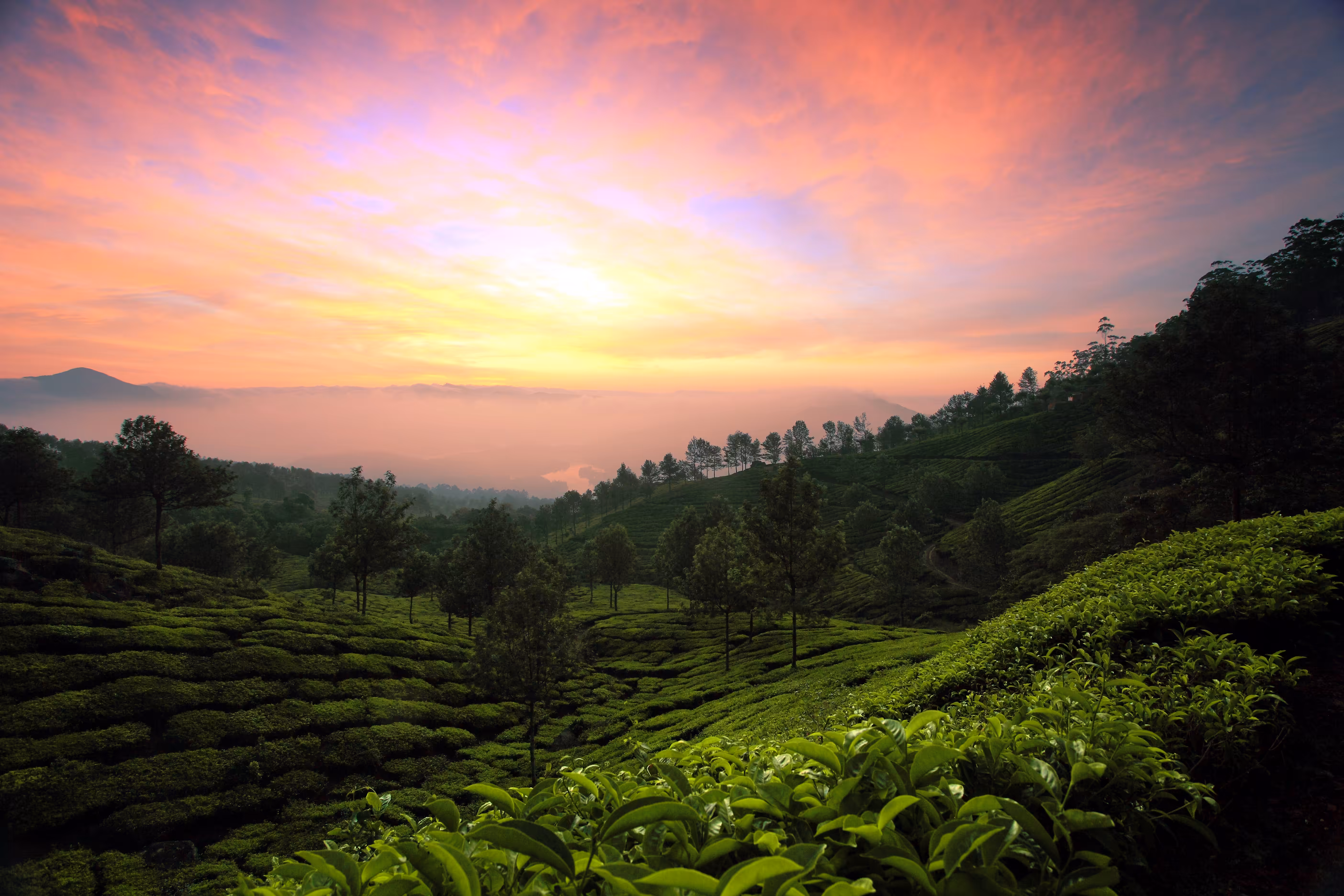 The tranquillity of dawning light