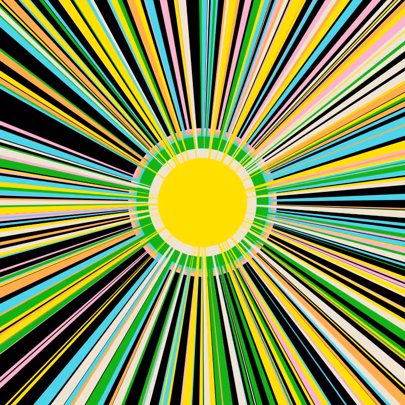 Sol #13