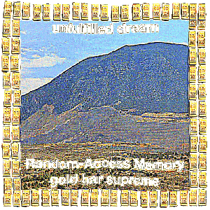 UNFULFILLED DREAM...