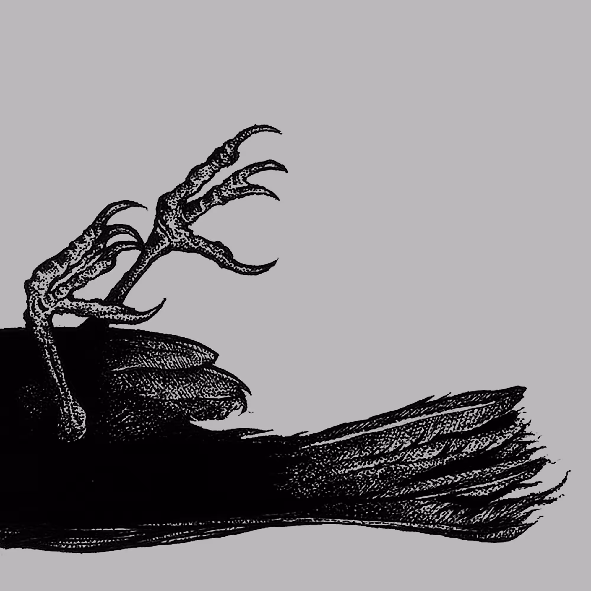 The Raven