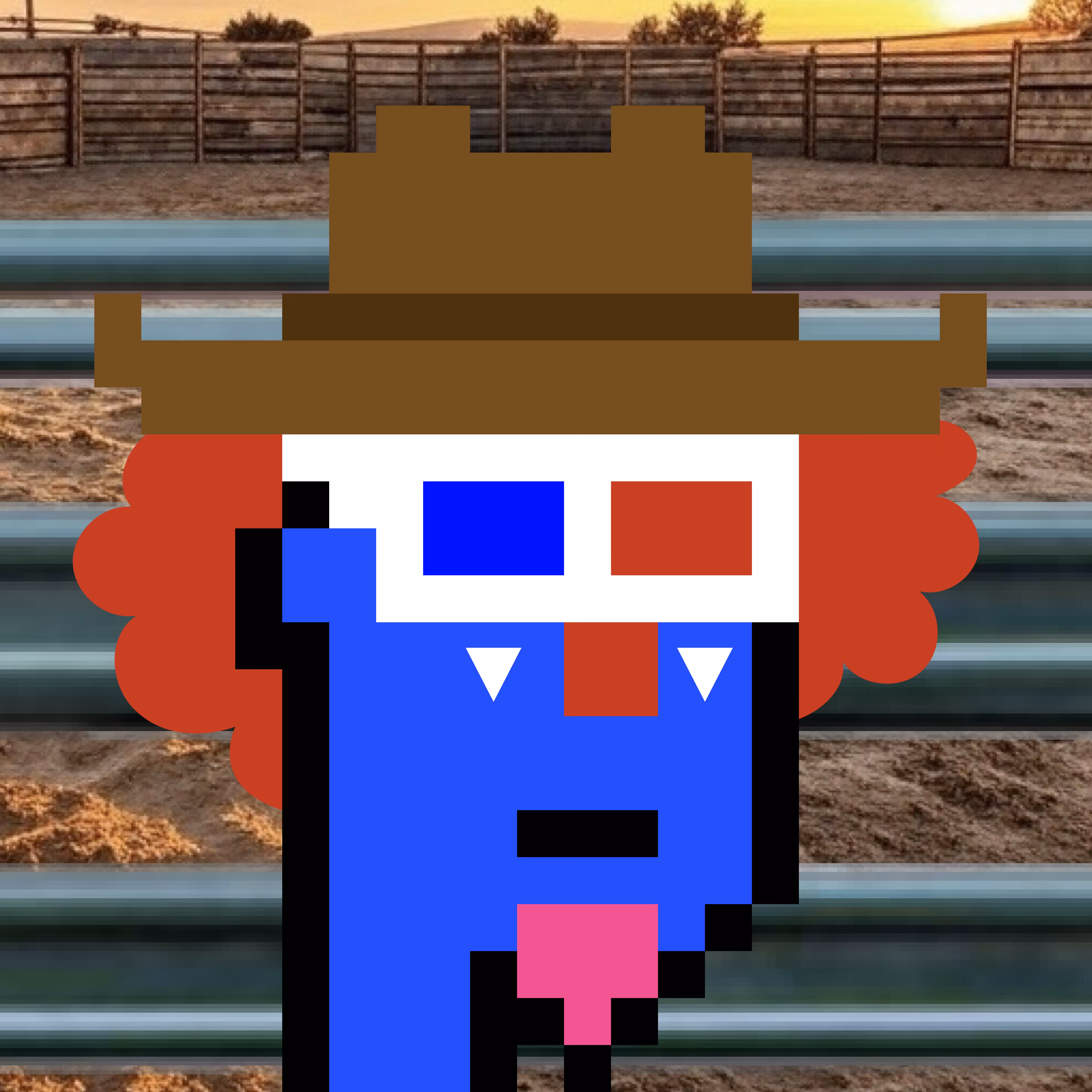 Barrel Punk