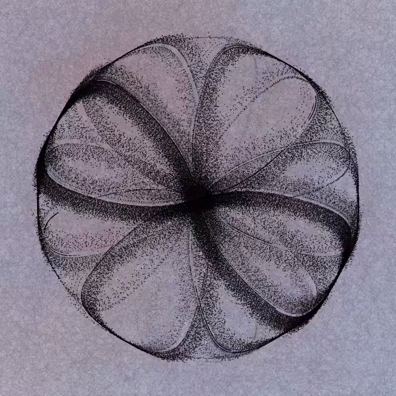 polar thread n.08 #13