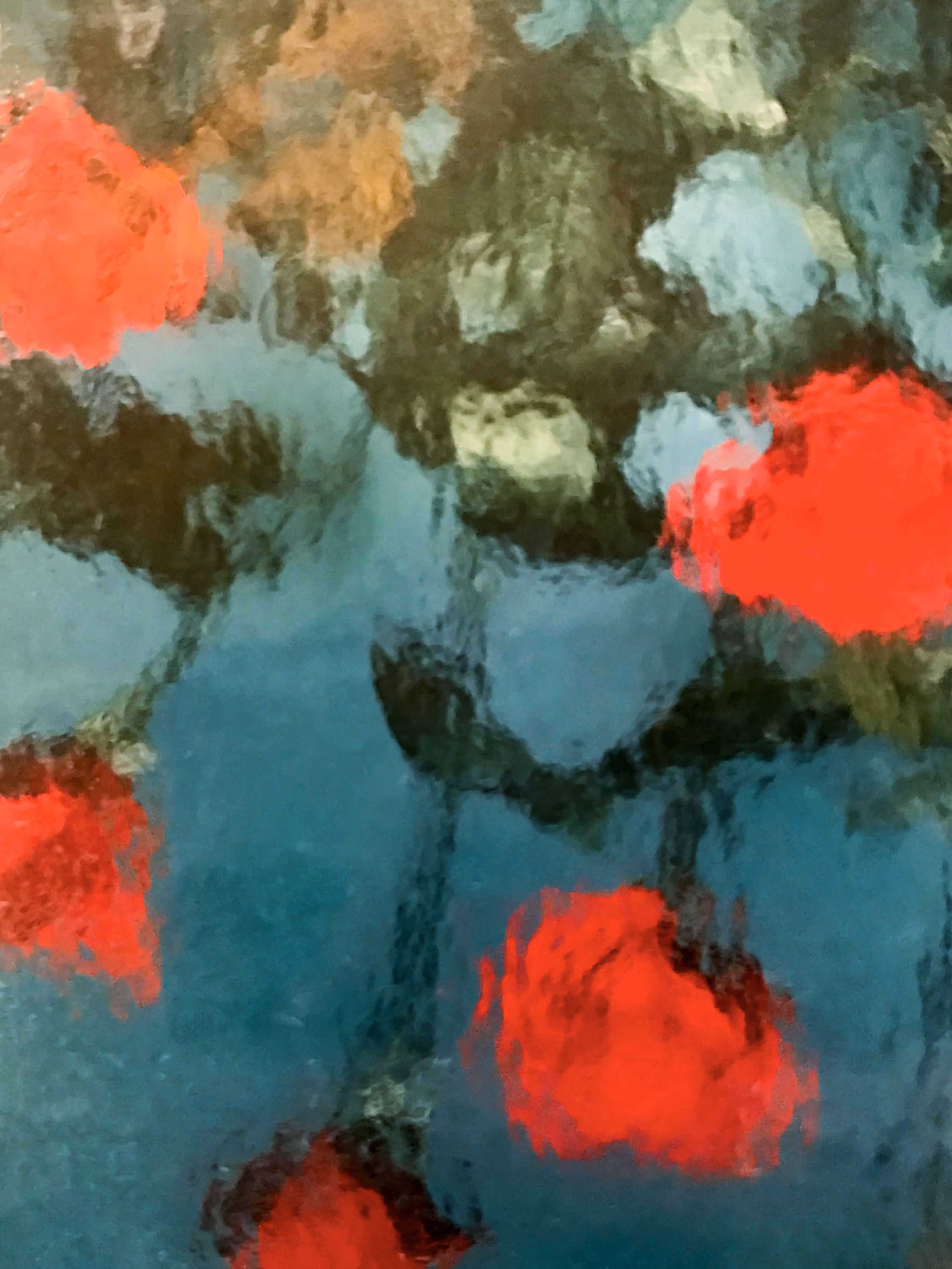 Red Roses