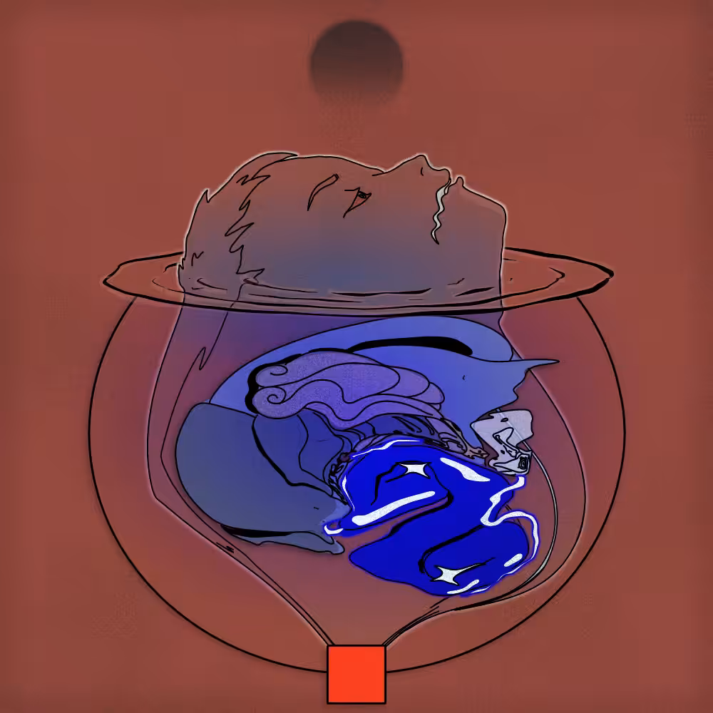 3FACE | art that adapts to you: Acolon (3FACE #2323)