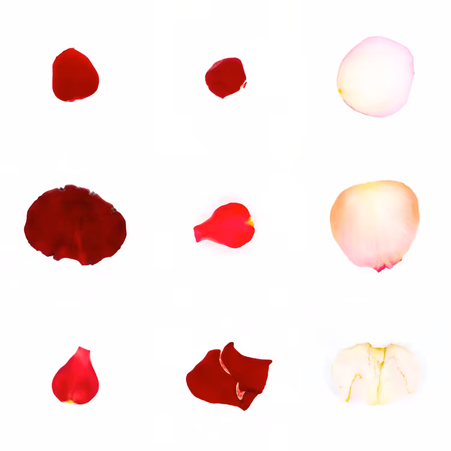 Infinite Petals 3x3#1893