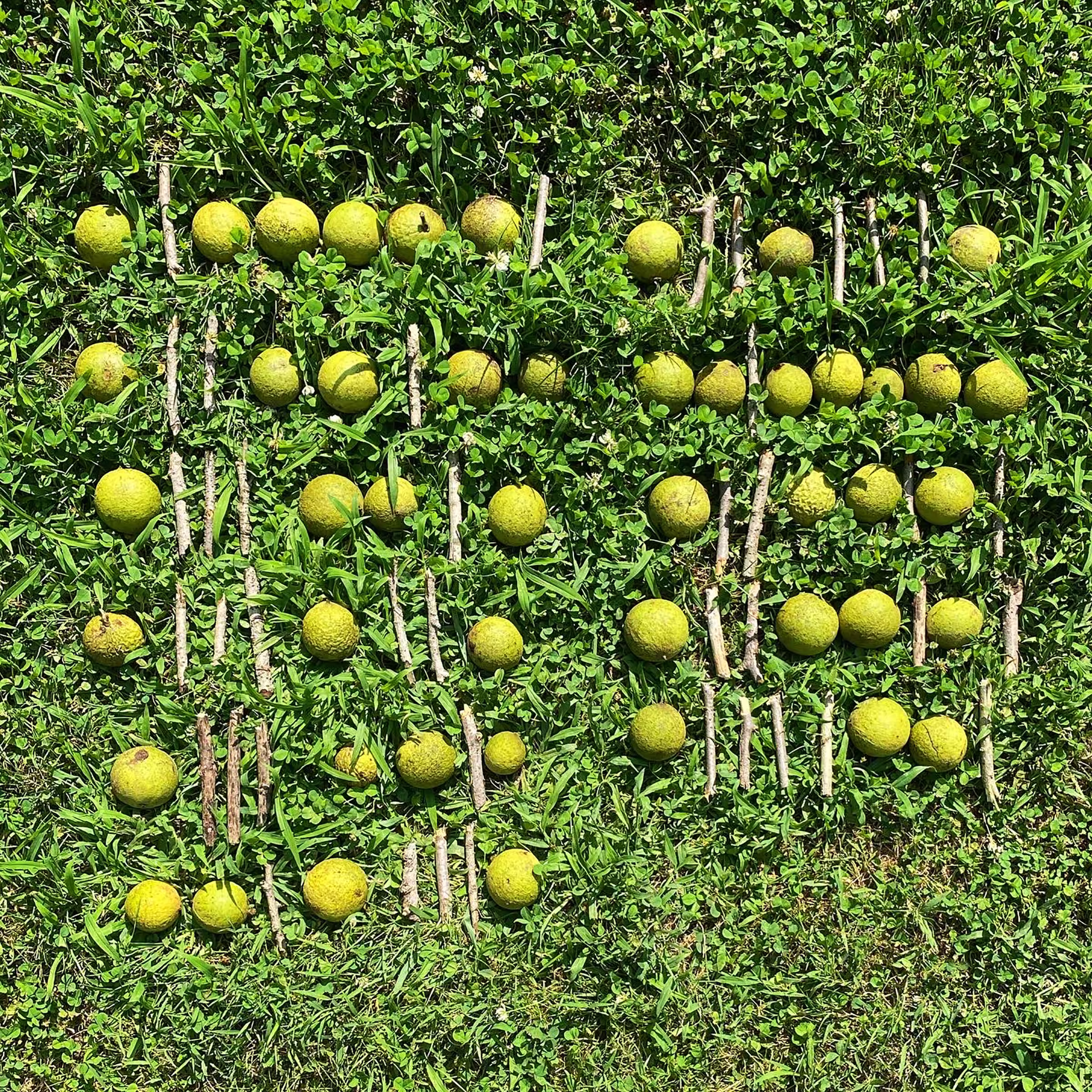 Analog Binary Code: And Revery. (After Emily Dickinson)