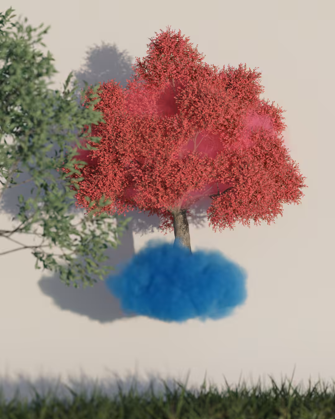 Spring dream