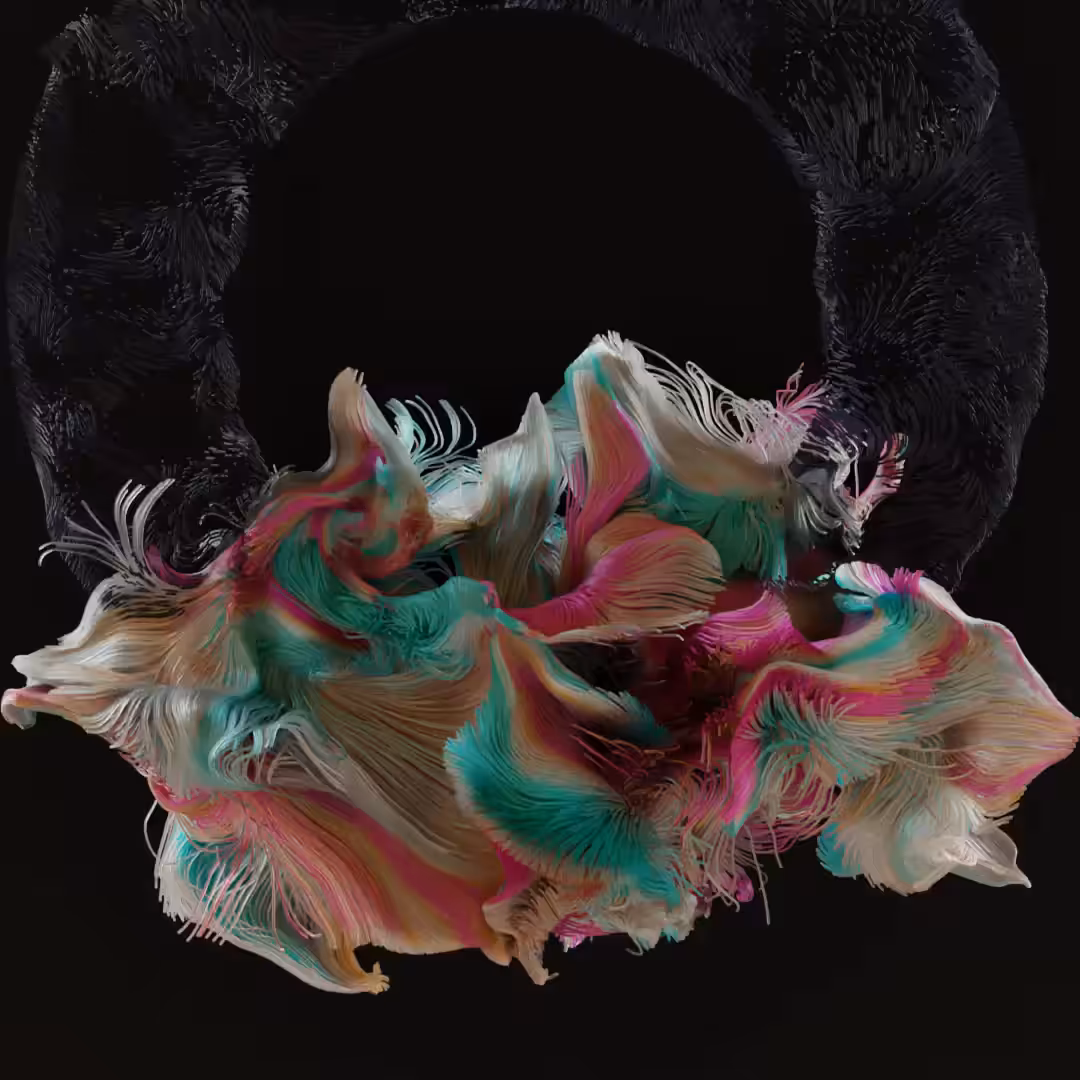 Donut #3: In Bloom