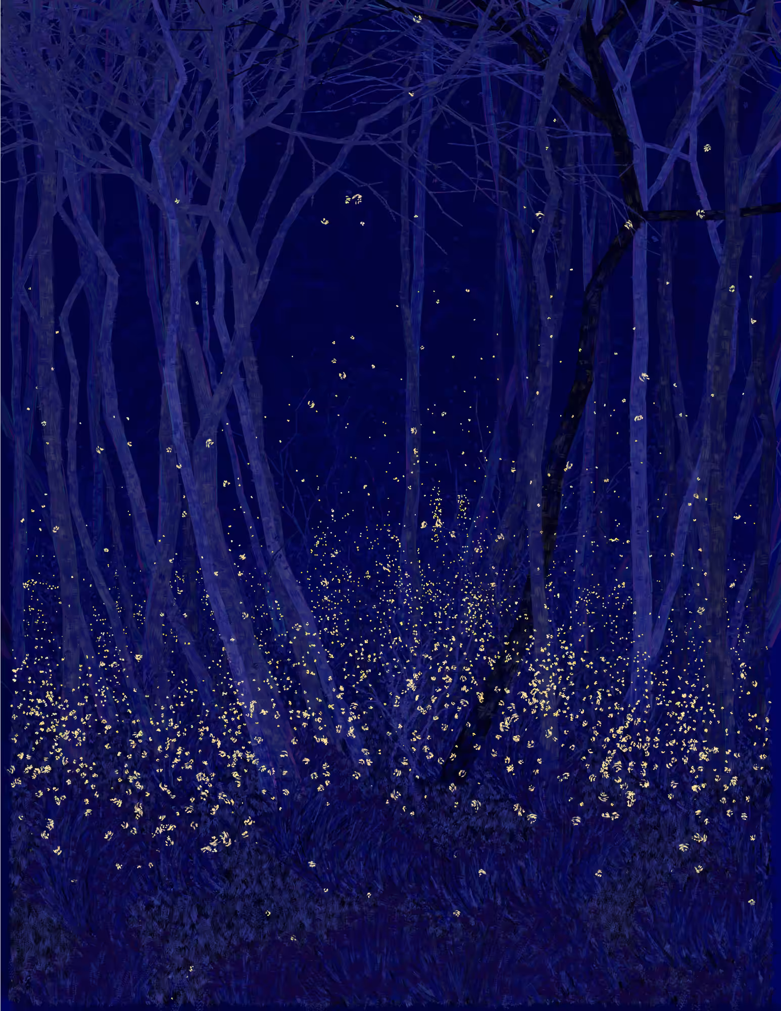Deep Forest #11