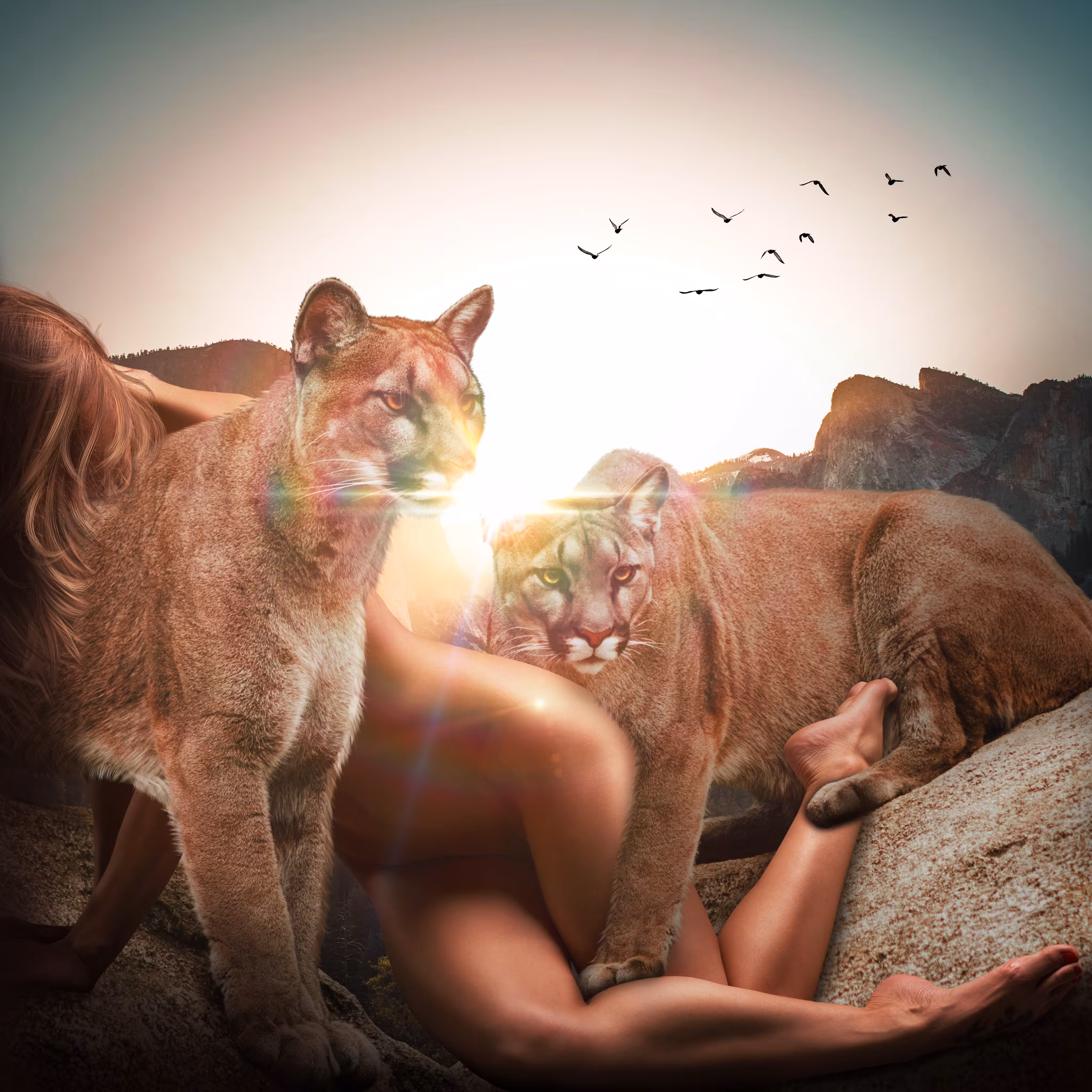 The Protector