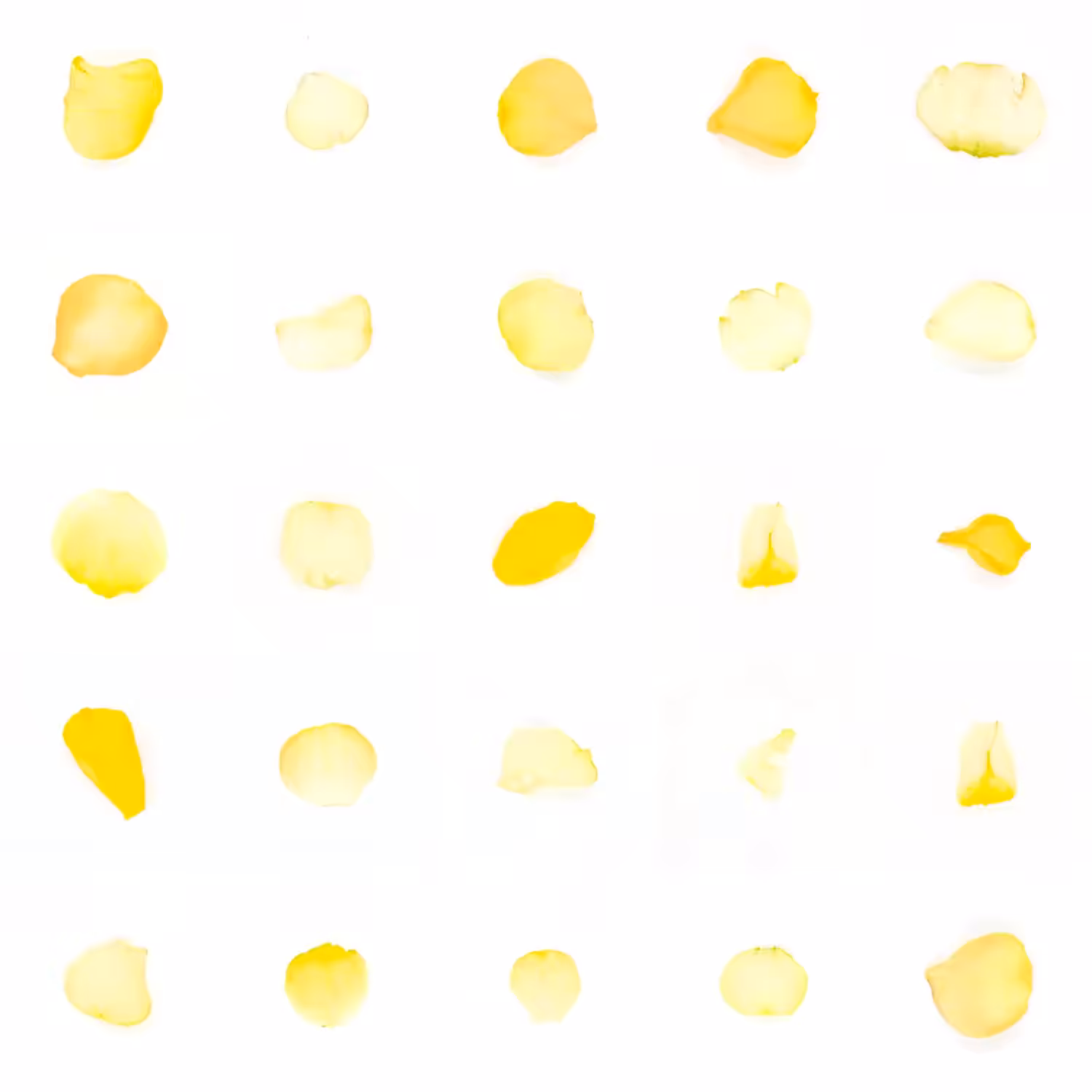 Infinite Petals 5x5#214