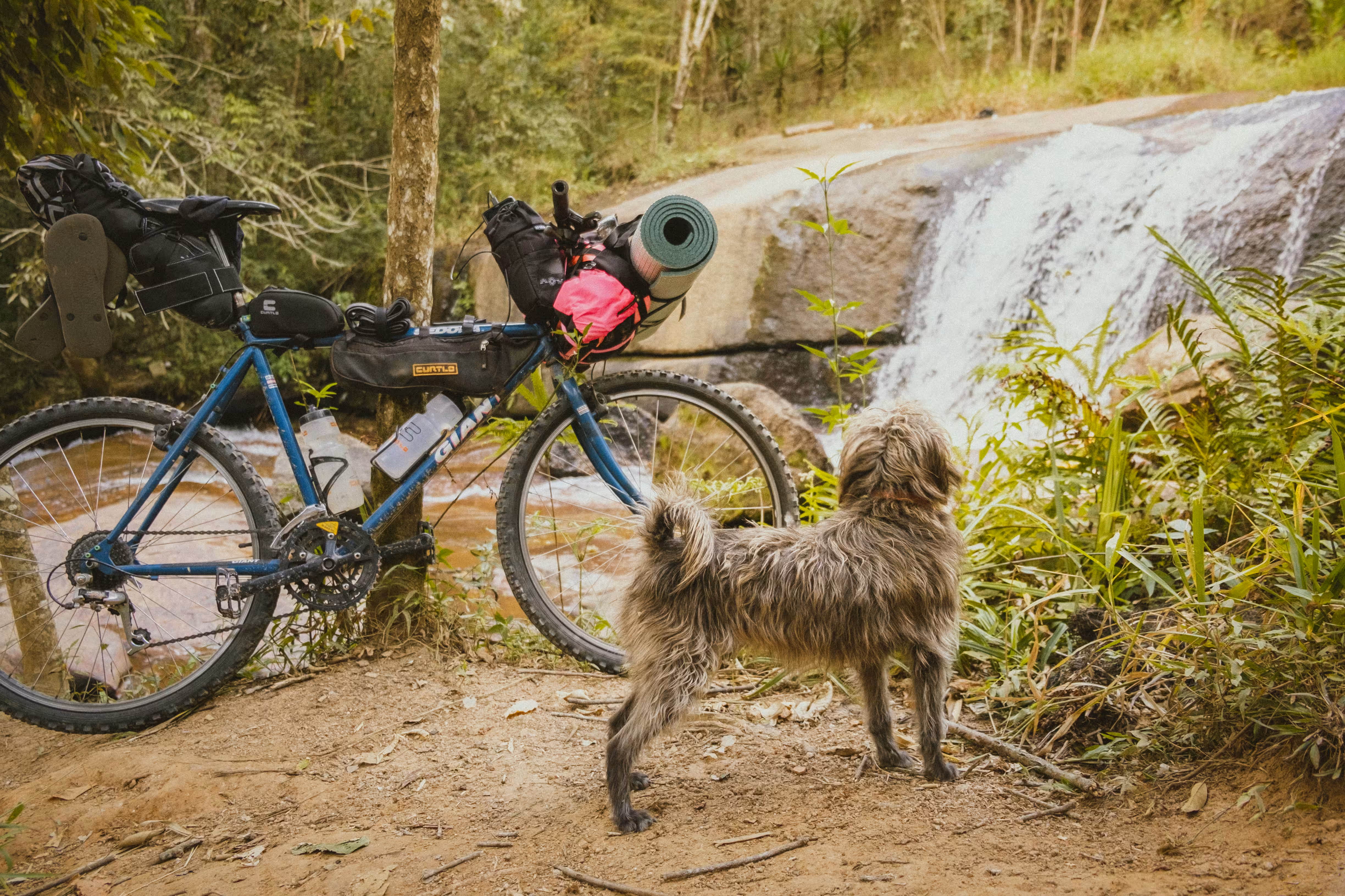 Bikepacking Brazil Experience