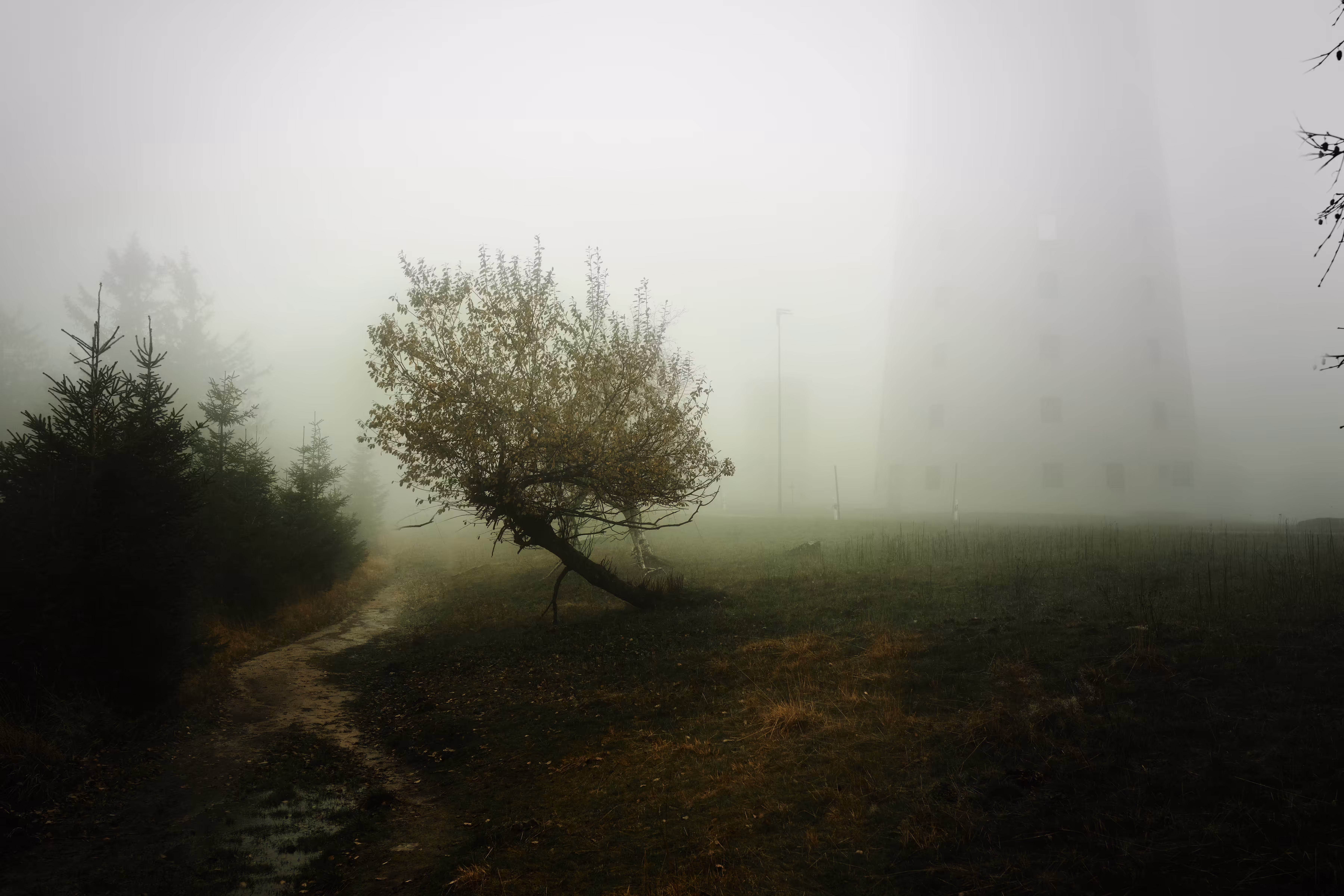 Home of the ghosts