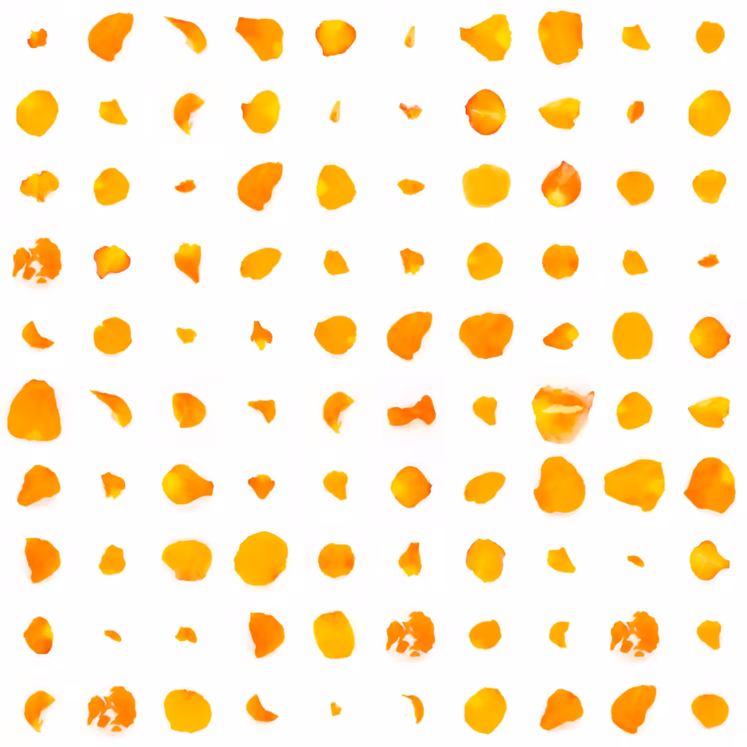 Infinite Petals 10x10#410