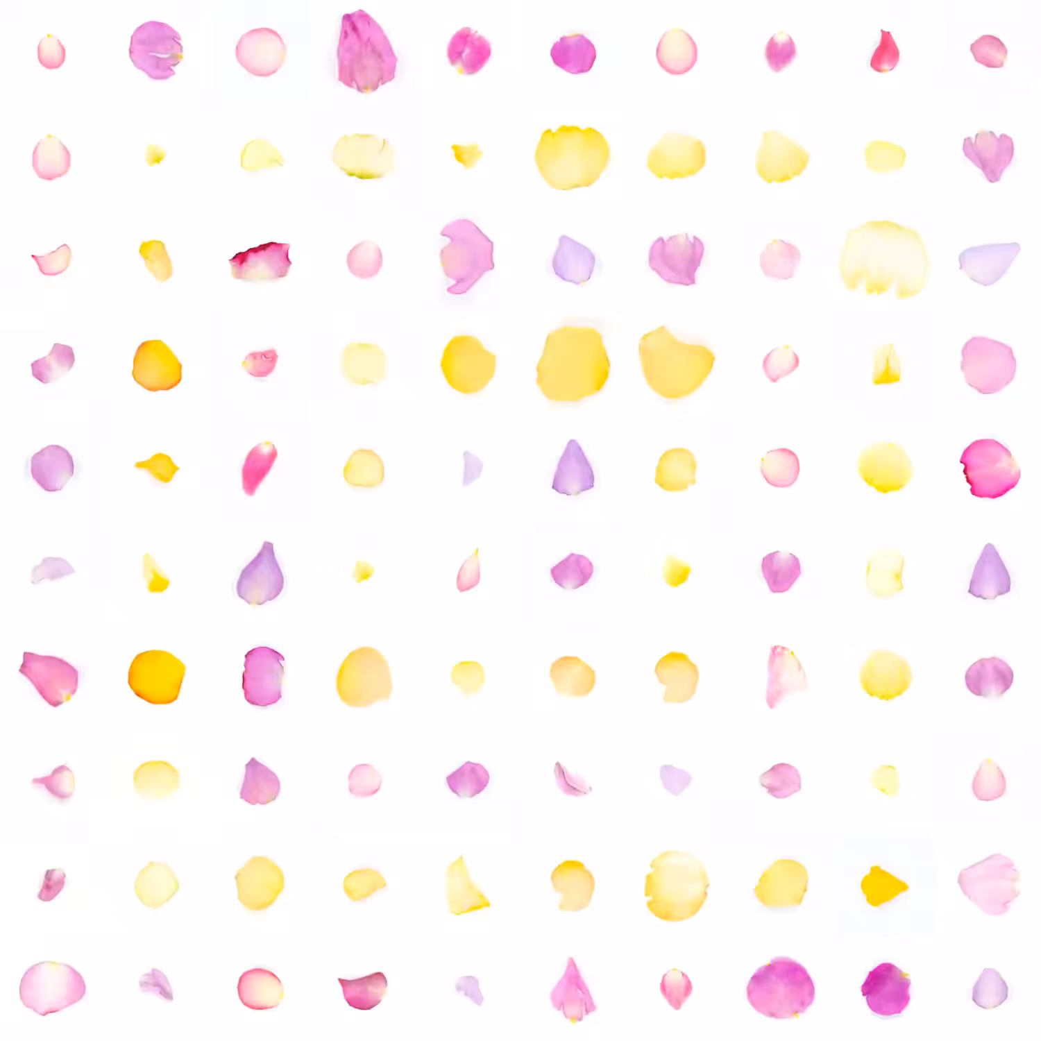 Infinite Petals 10x10#511852