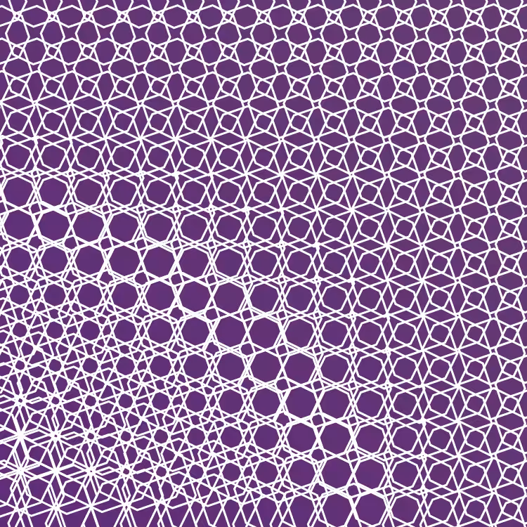 bilinearInterpolationTwist #51