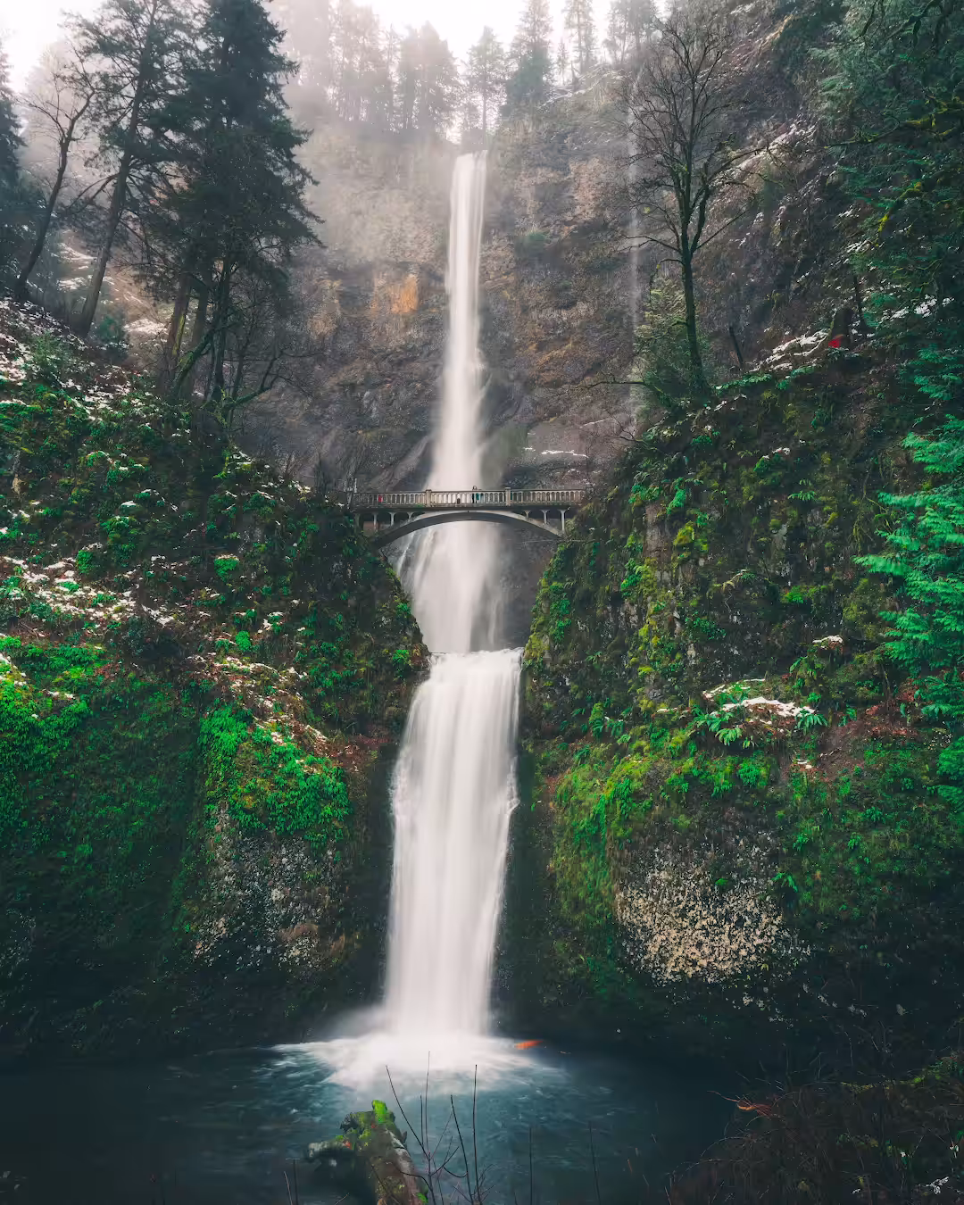 Oregon Bliss 3/3