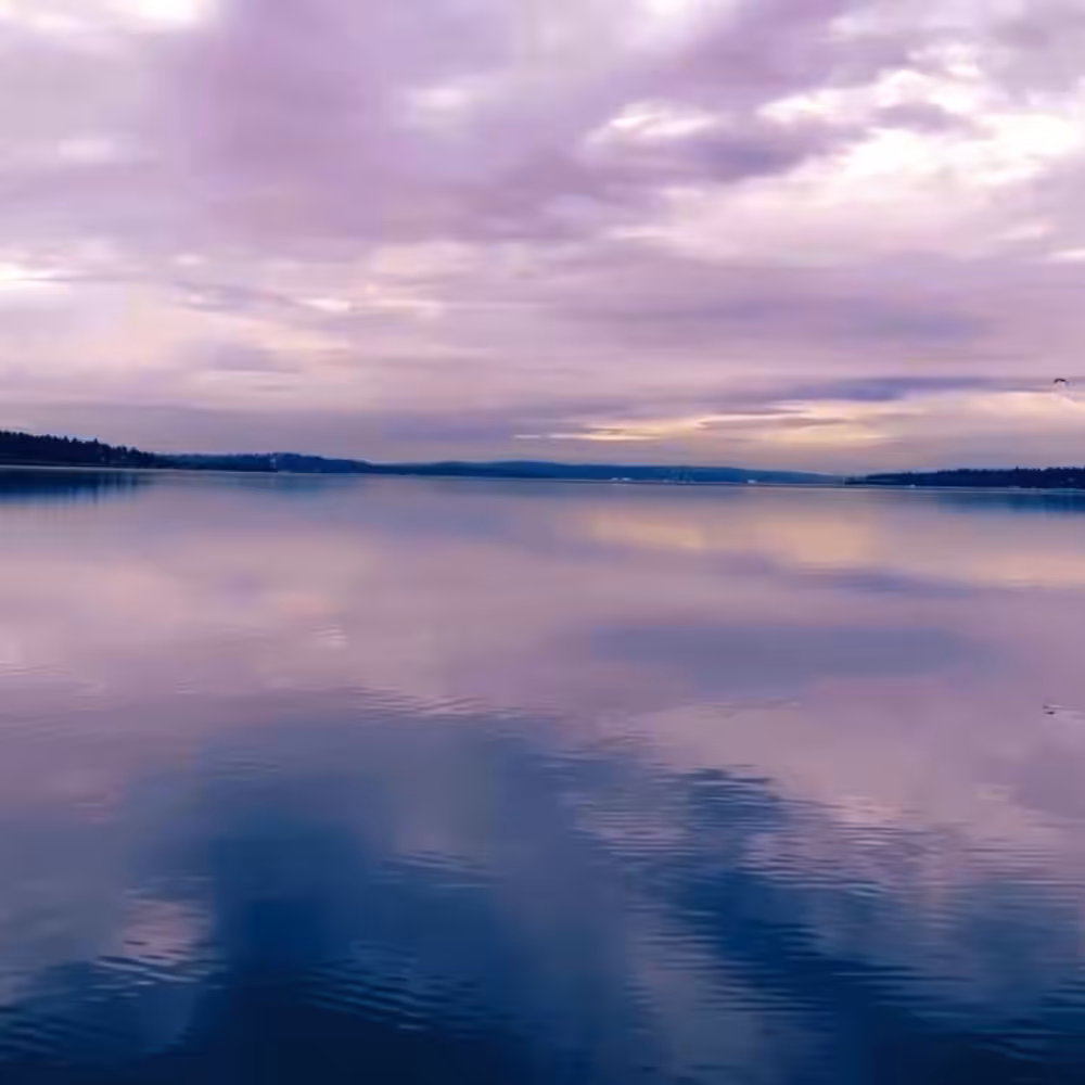 Annus Mirabilis: Elegy for a Lost Cause (for Jackie)