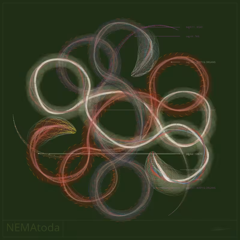 NEMA #76