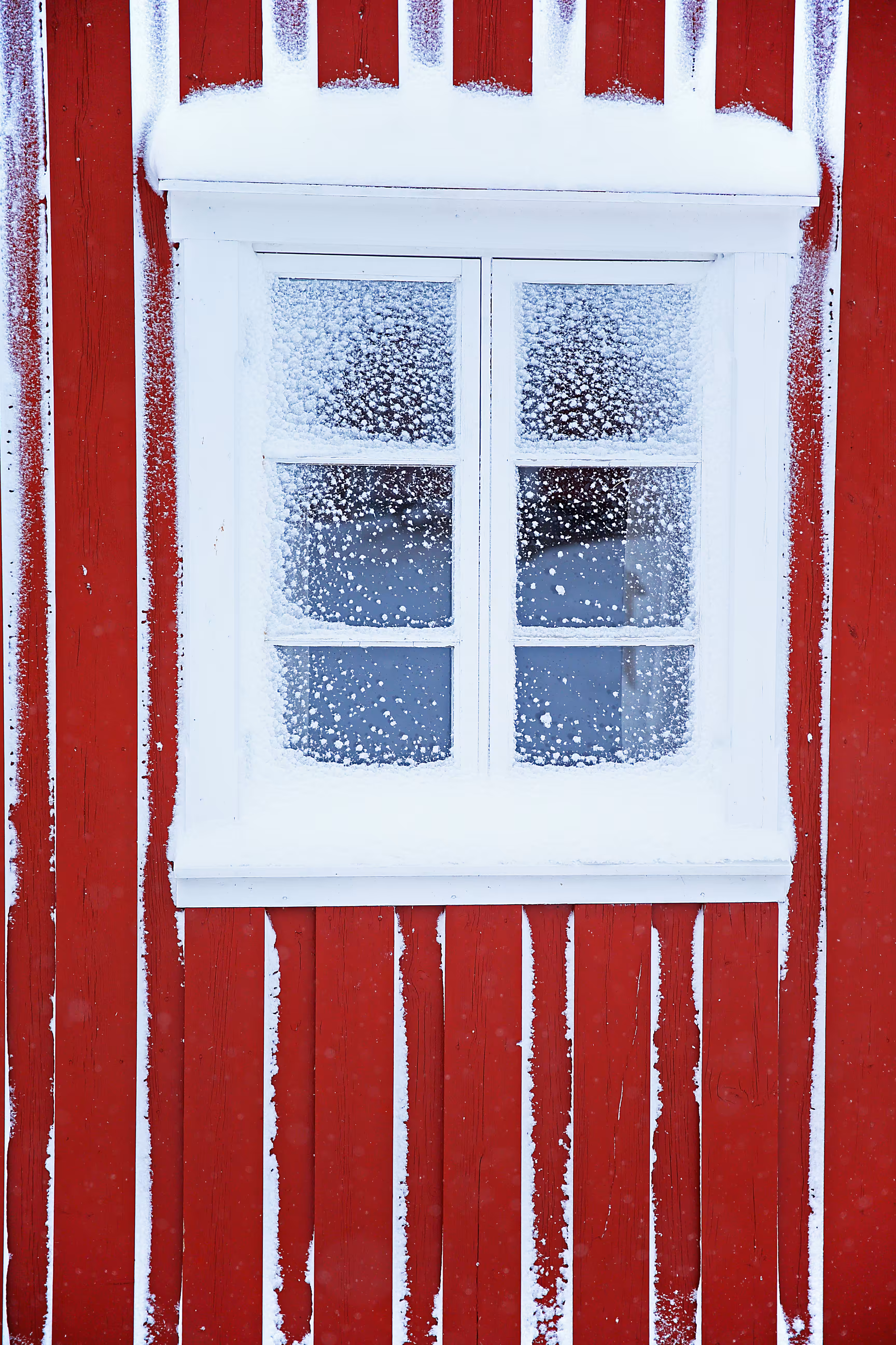 Snowed in