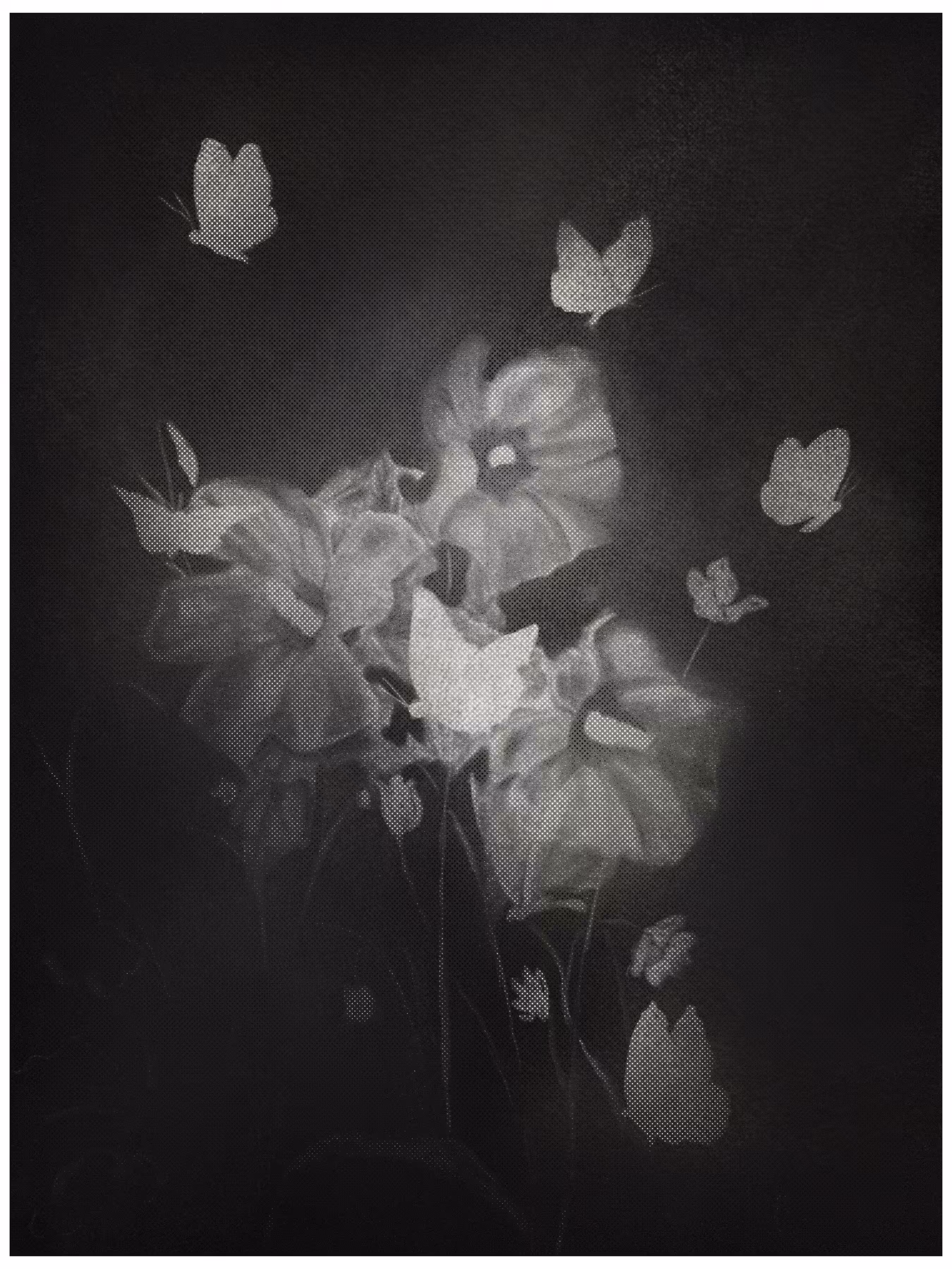 Night butterfly