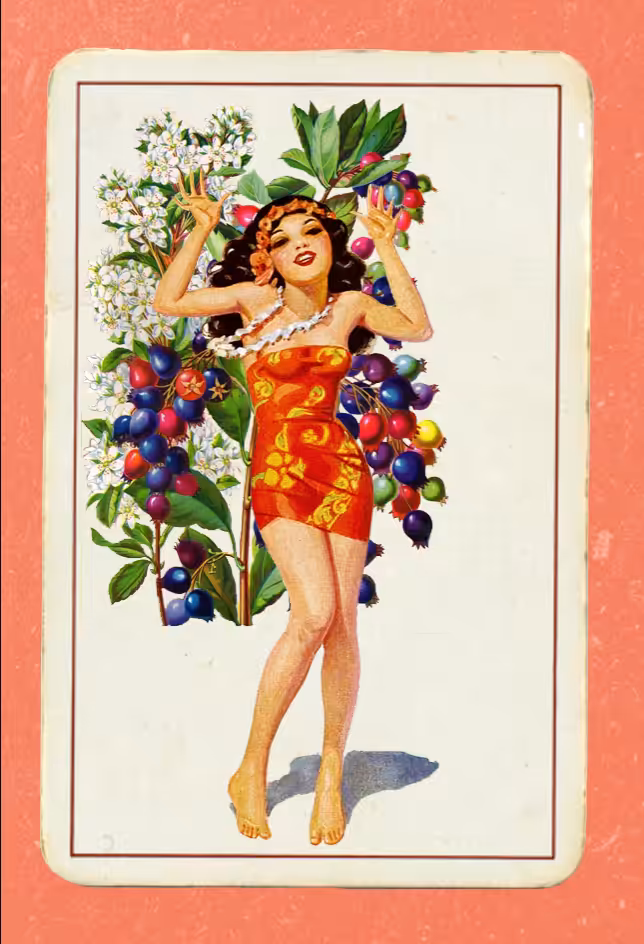 Paper Pinups #48