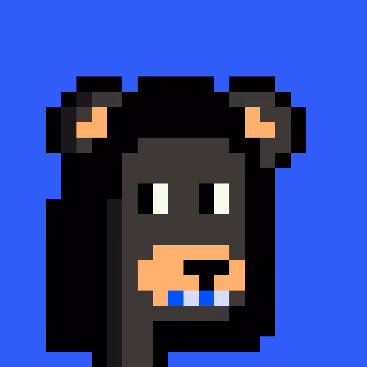 BearPunks #2899
