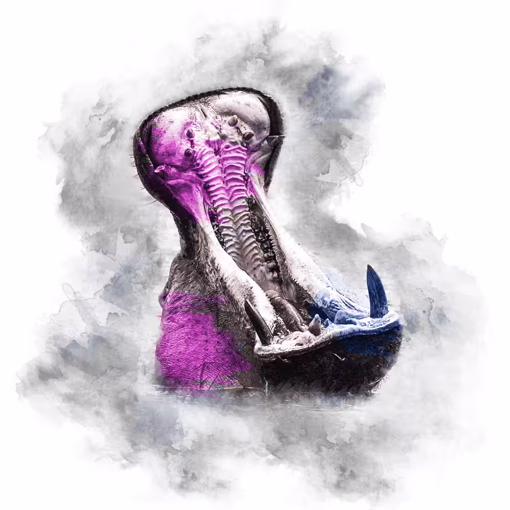 PINK SERIES - HIPPO