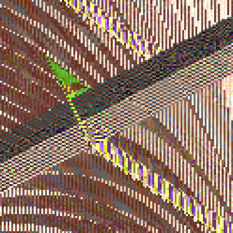 Grid, Rules and Cells #11