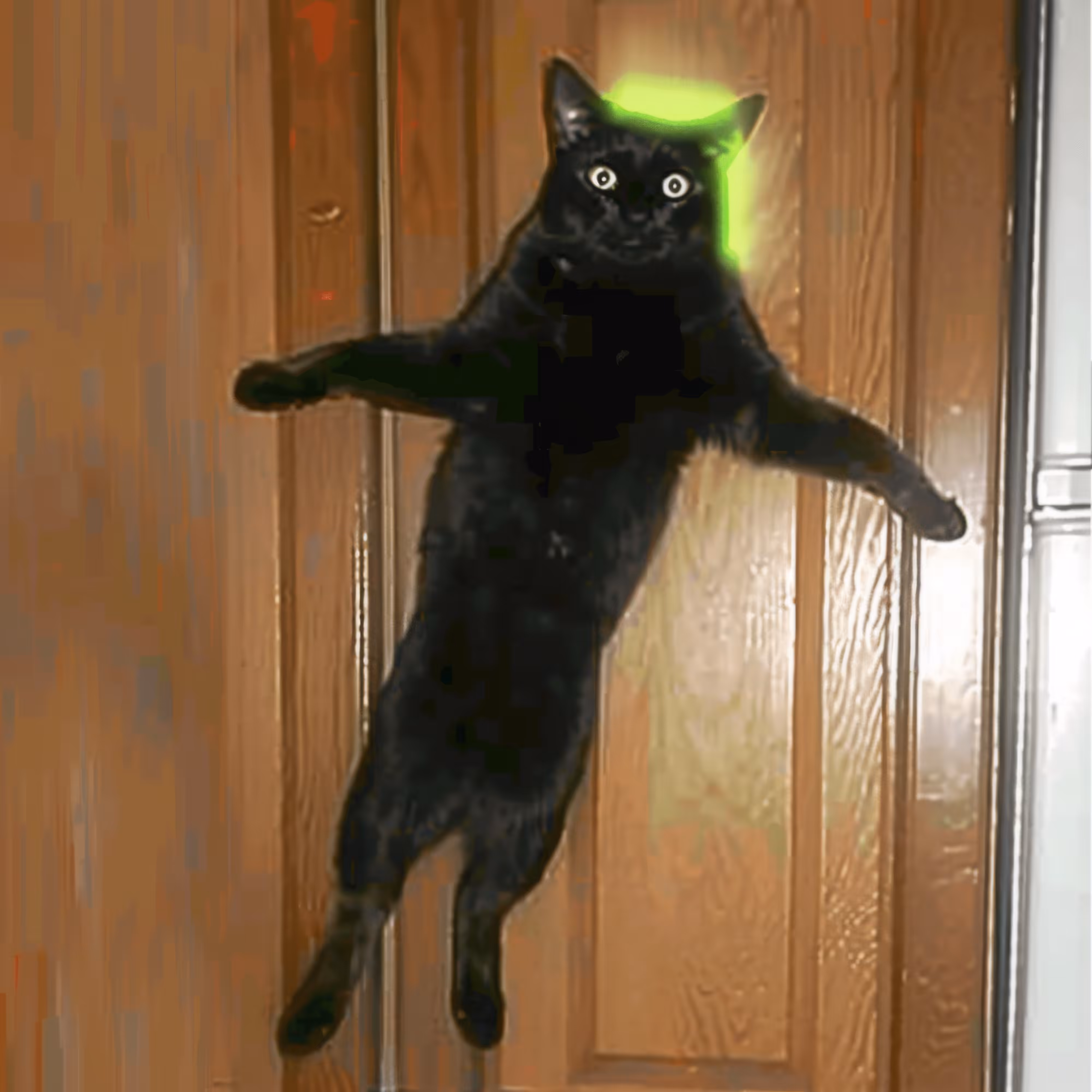 BAD JPEGs: Jumping-Kitty