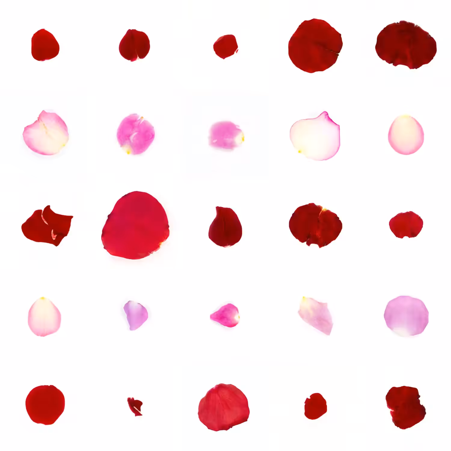 Infinite Petals 5x5#20602