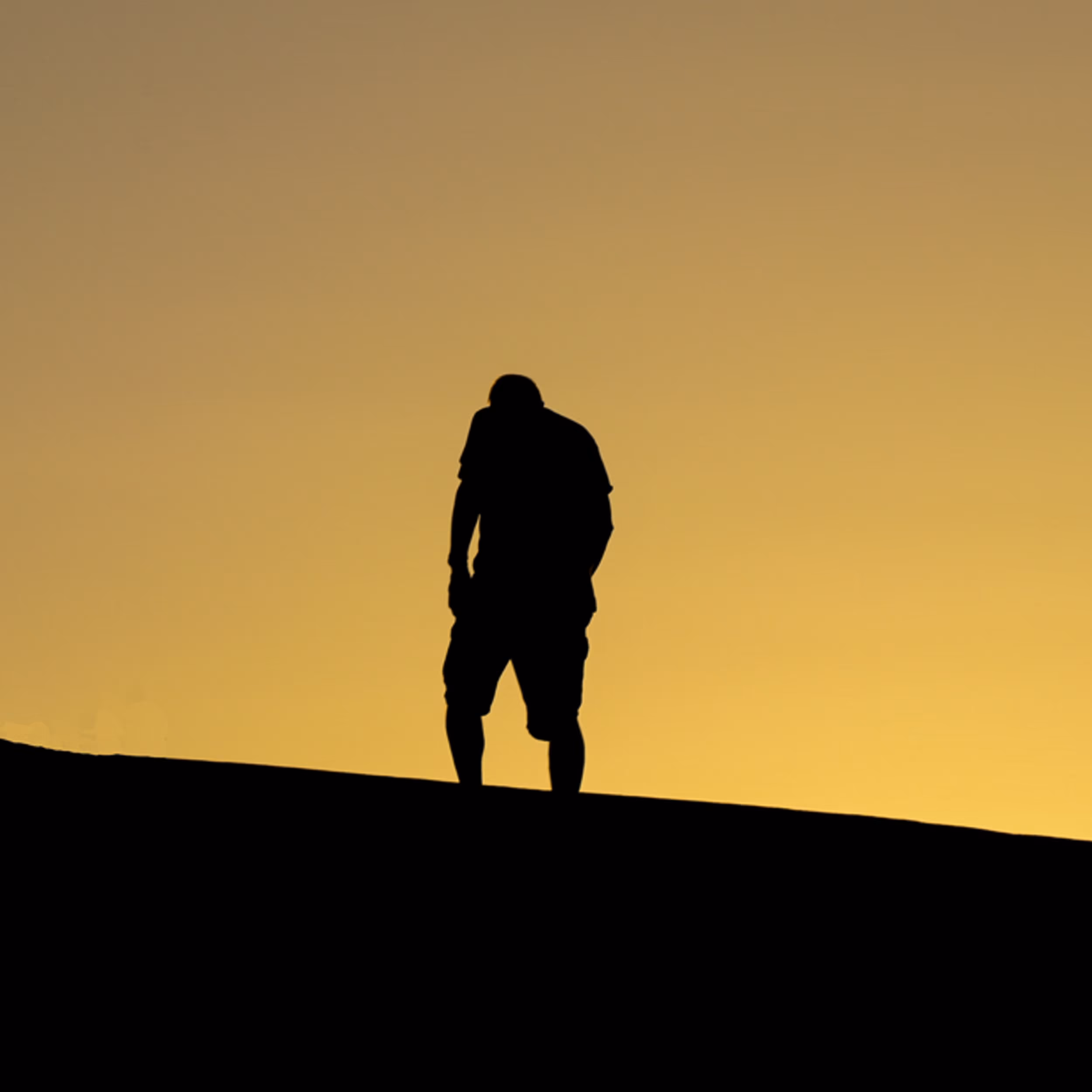 The Ascent