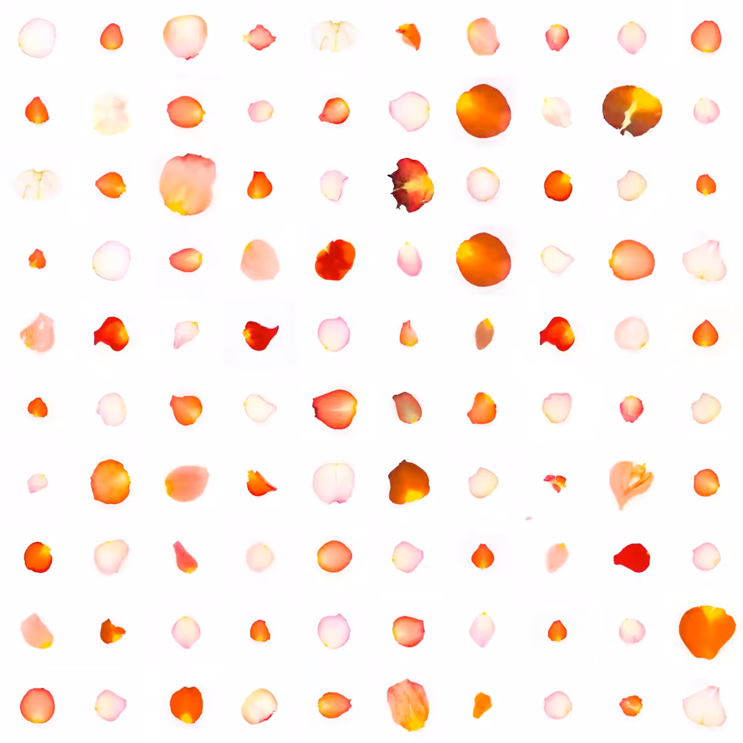 Infinite Petals 10x10#546