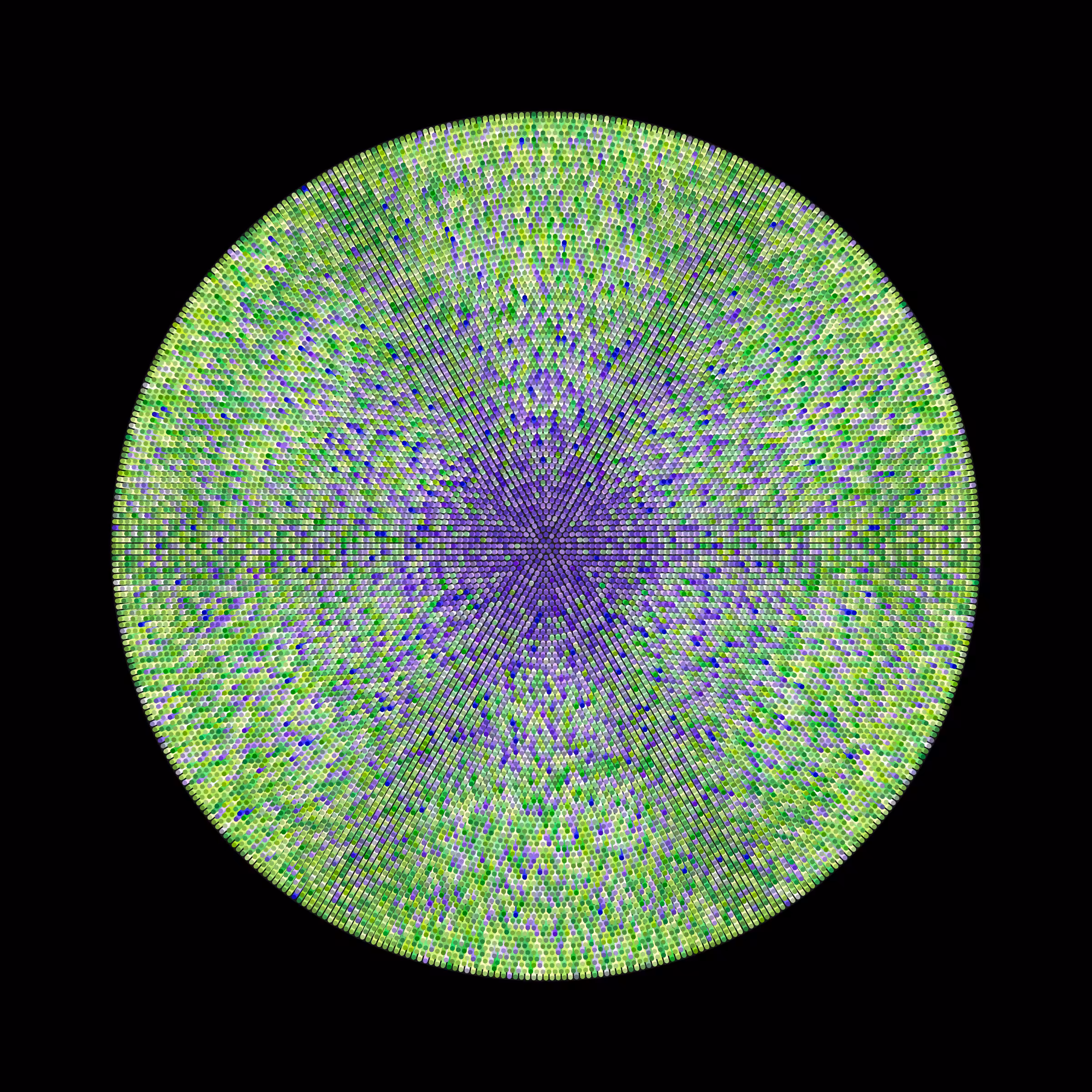 Transitions #1329